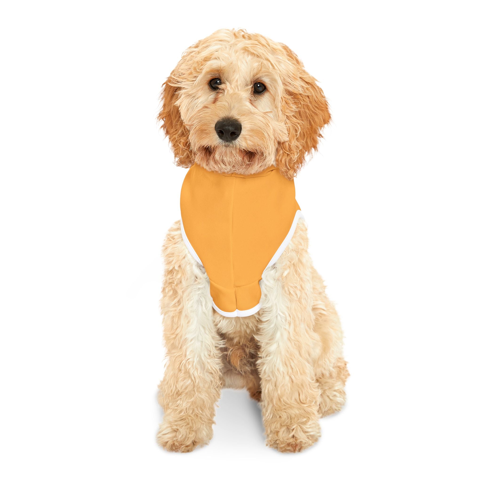 April Muttgate Dog Hoodie – Funny Dog Halloween Costume