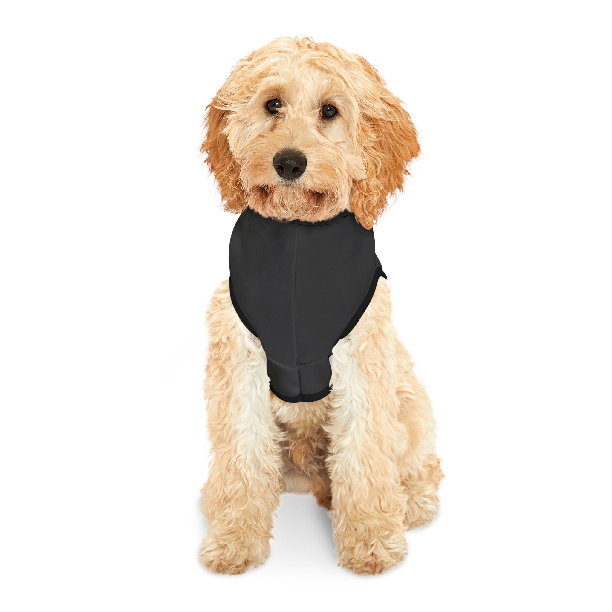 Naked on Zoom Calls Dog Hoodie – Funny Work-from-Home Pet Sweatshirt for Professional Slackers