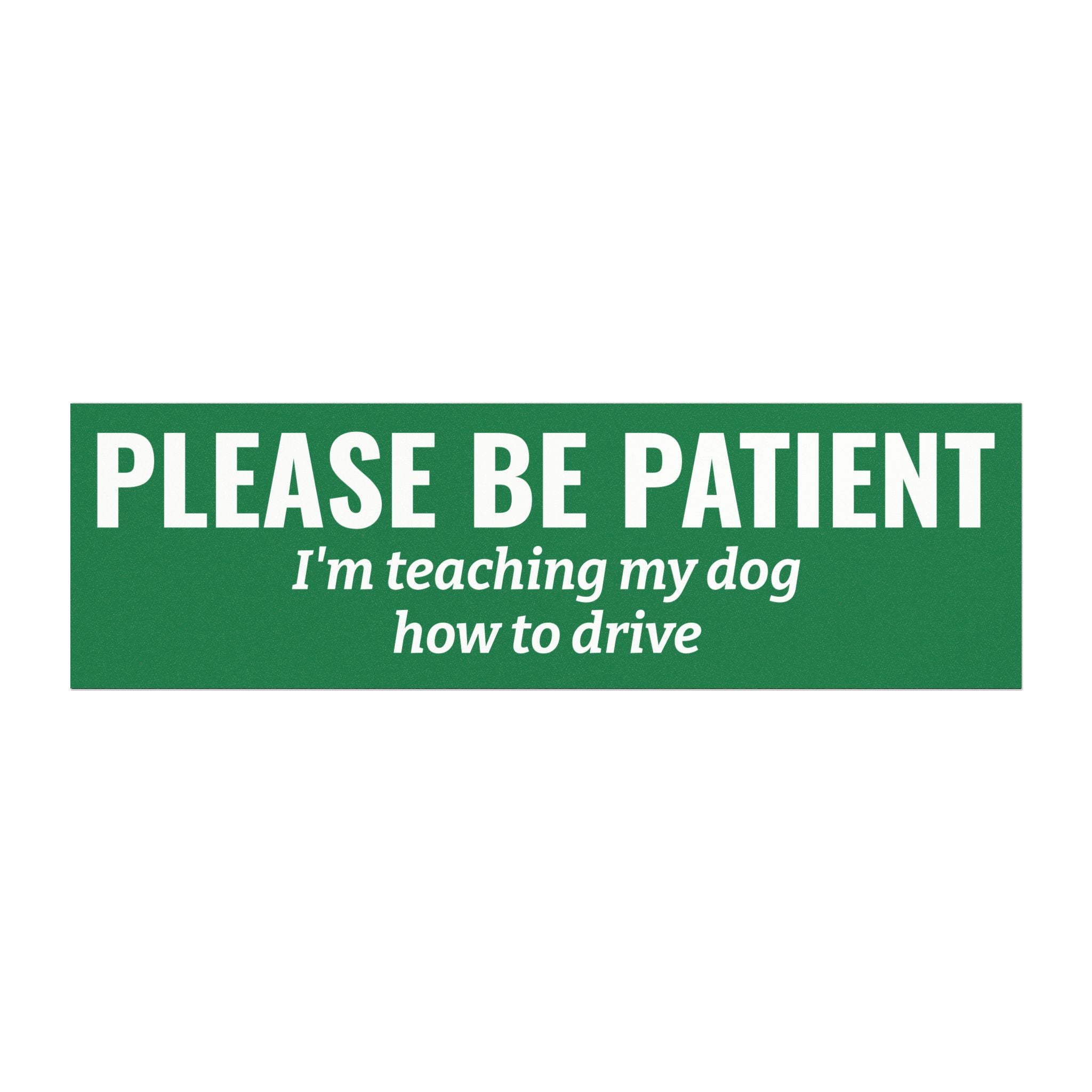 Please Be Patient, I'm Teaching My Dog How to Drive Bumper Magnet (GREEN)