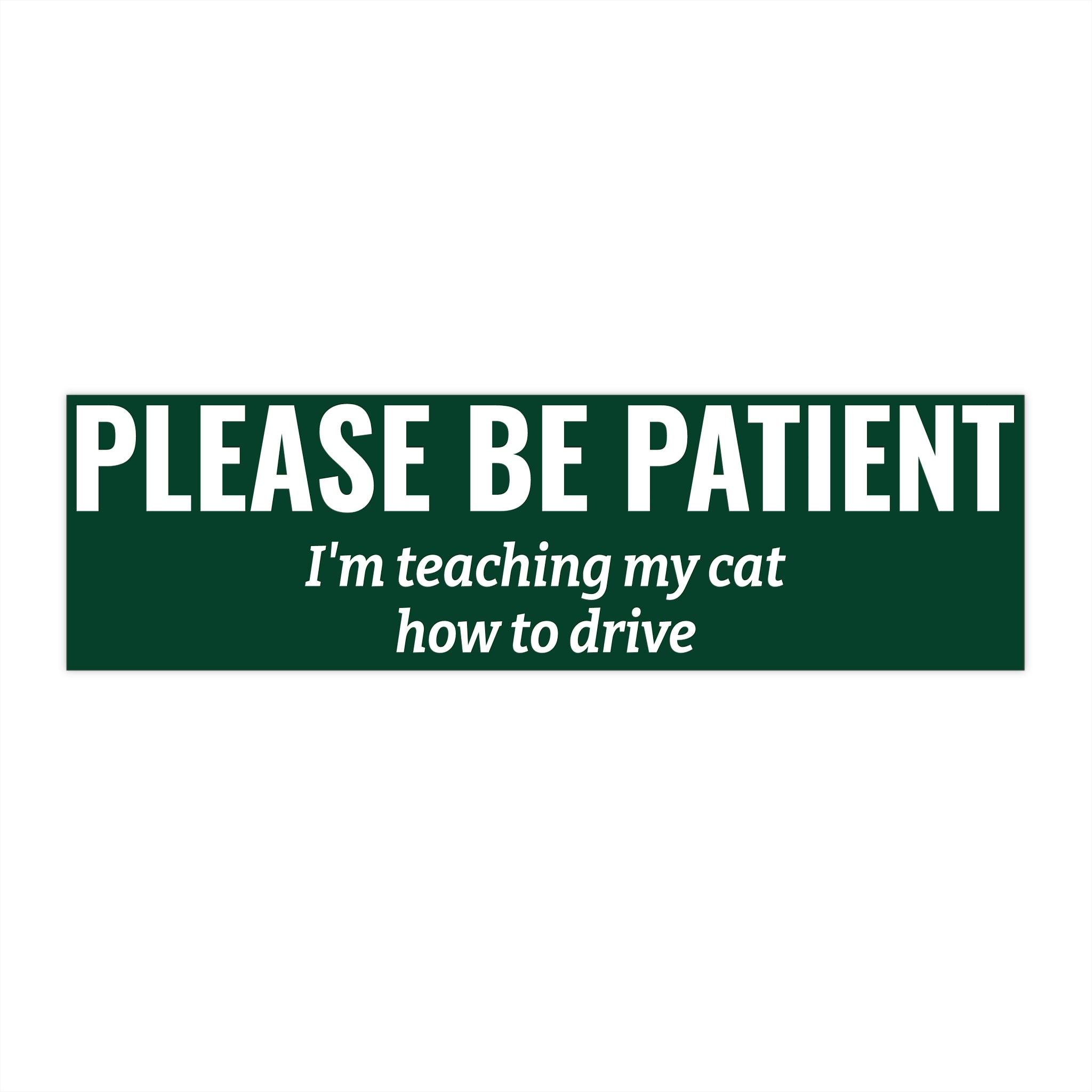 Copy of Please Be Patient Bumper Sticker — "I'm Teaching My Dog How to Drive" Humorous Car Decal (Purple)