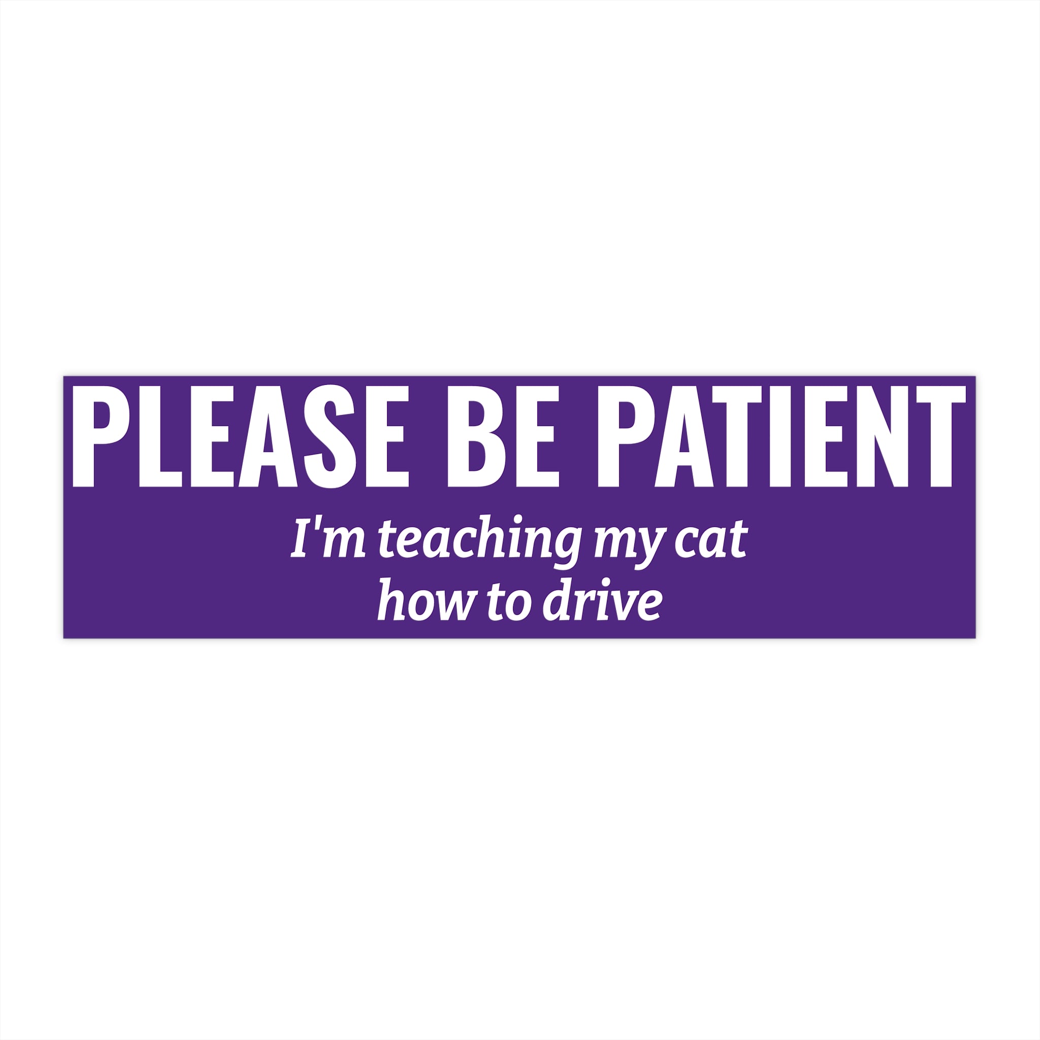 Copy of Please Be Patient Bumper Sticker — "I'm Teaching My Cat How to Drive" Humorous Car Decal (BLACK)