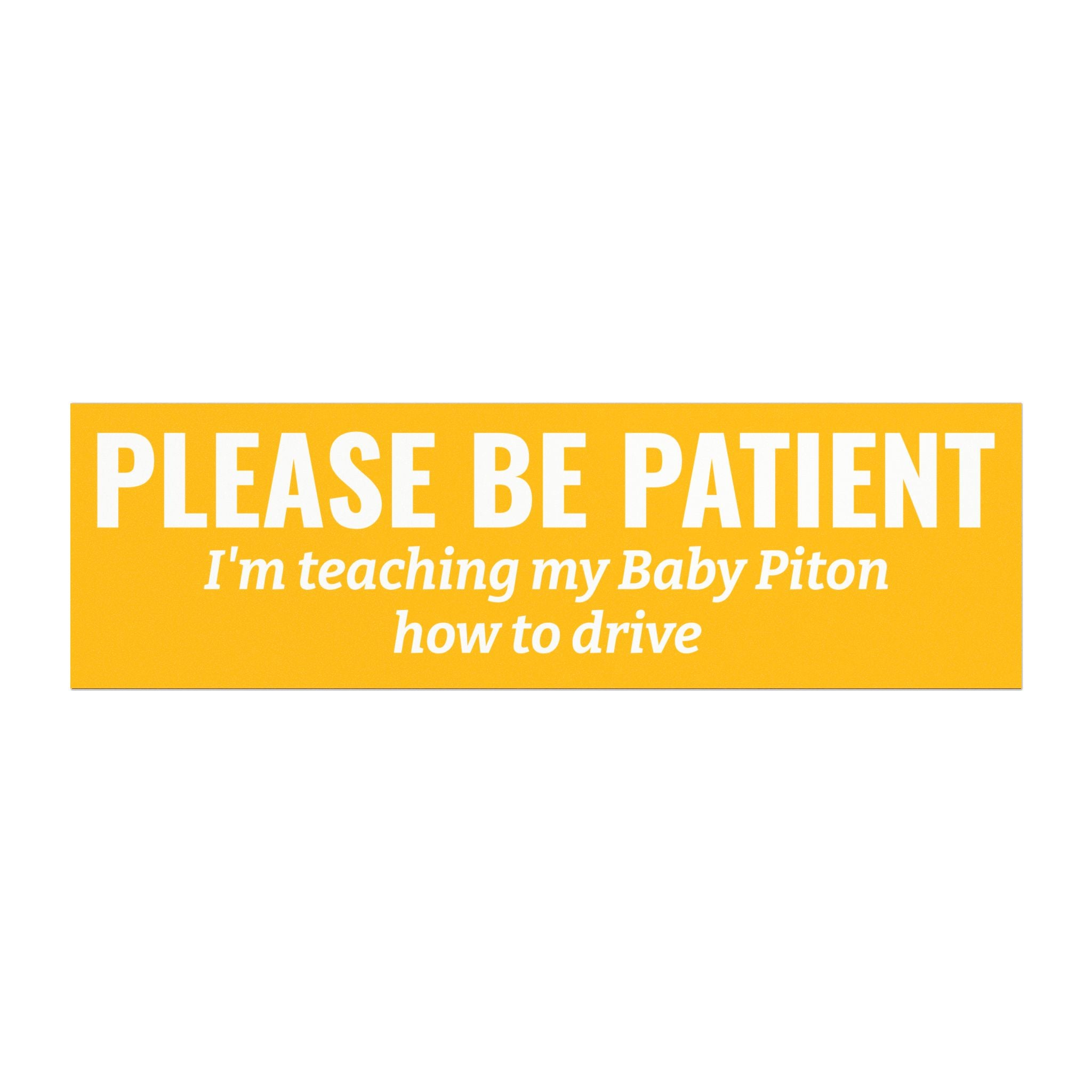 Copy of Please Be Patient, I'm Teaching My Dog How to Drive Bumper Magnet