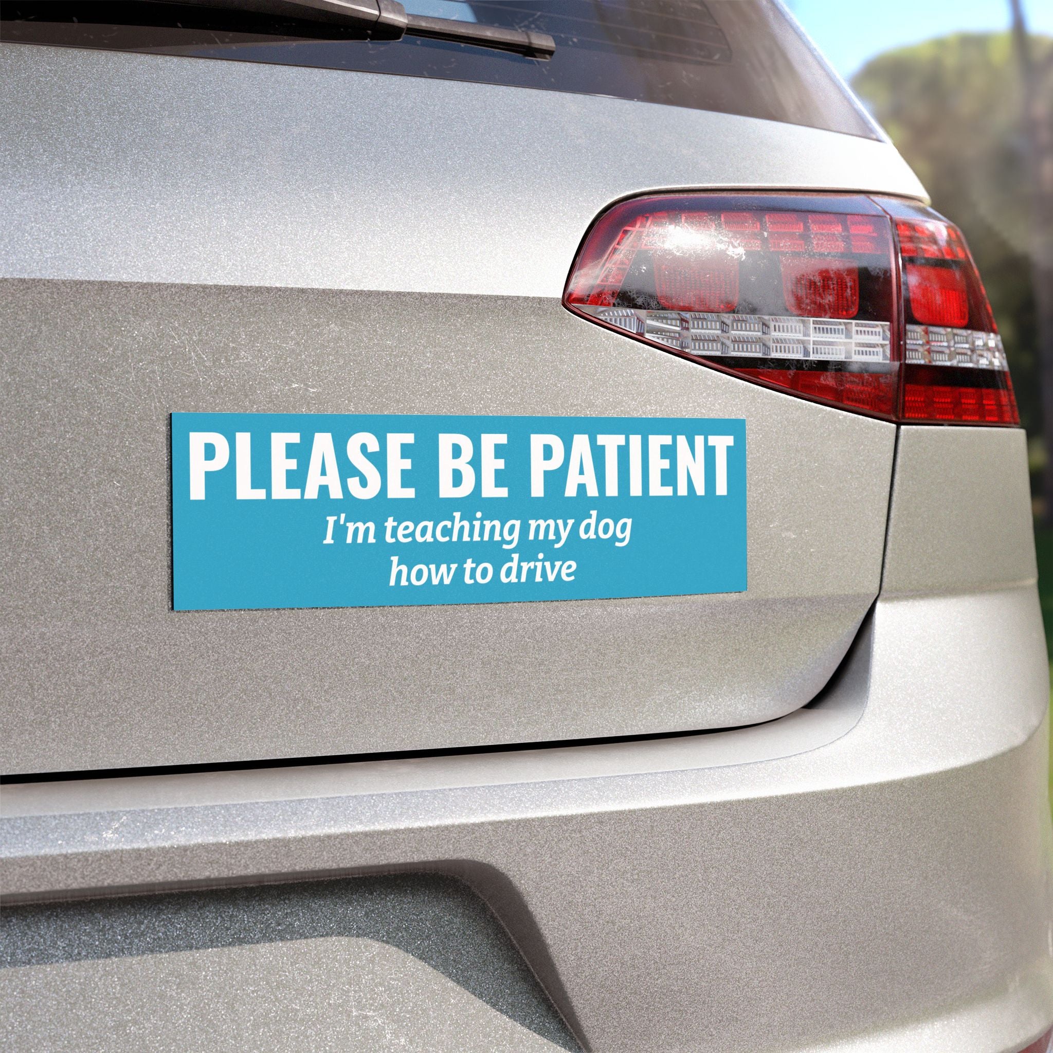 Please Be Patient, I'm Teaching My Dog How to Drive Bumper Magnet (SKY BLUE)