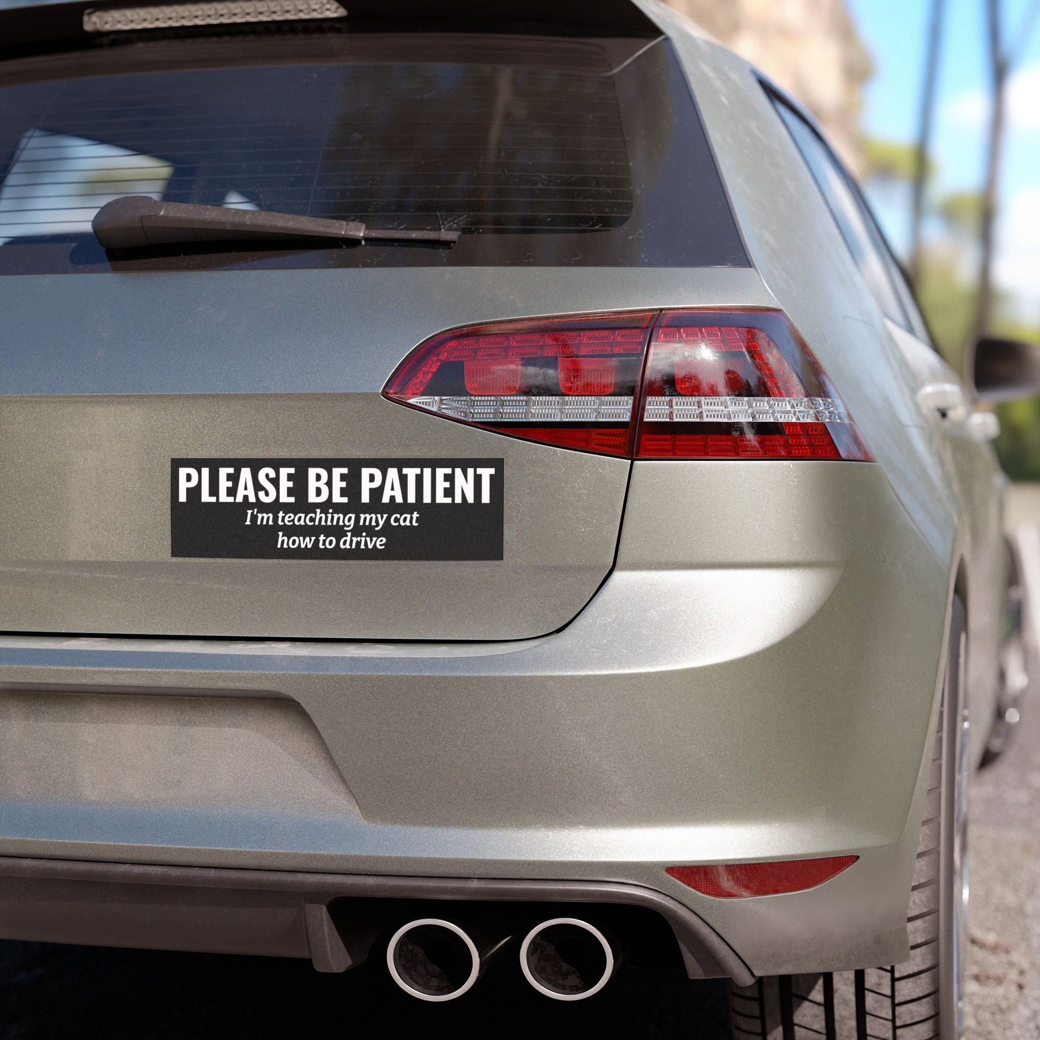 Please Be Patient, I'm Teaching My Cat How to Drive Bumper Magnet (BLACK)