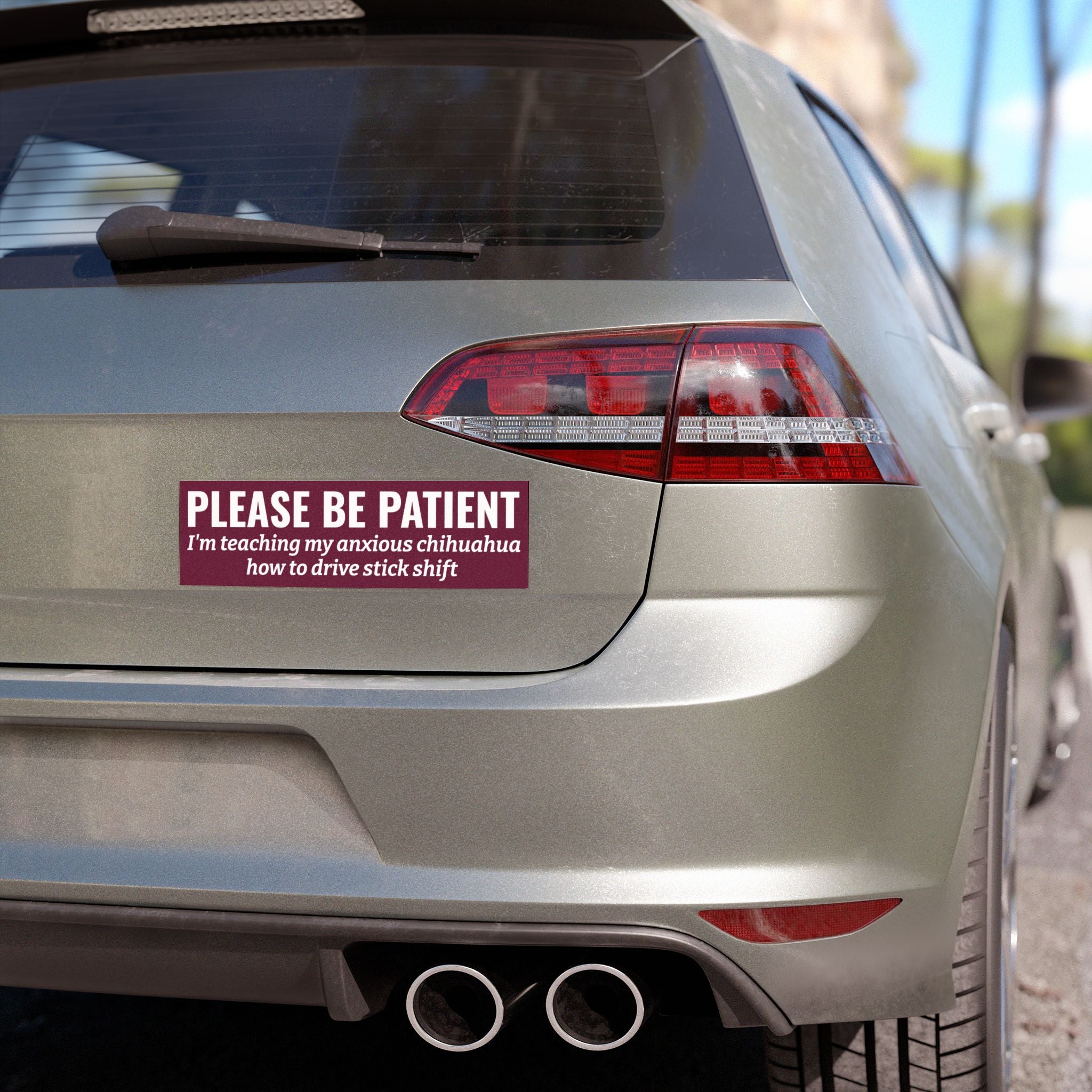 Copy of lease Be Patient, I'm Teaching My Cat How to Drive Bumper Magnet (PINK)