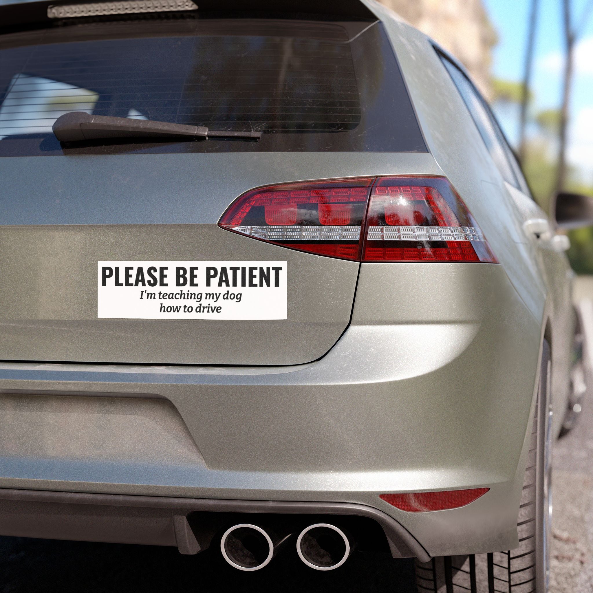 Please Be Patient, I'm Teaching My Cat How to Drive Bumper Magnet (BLACK)