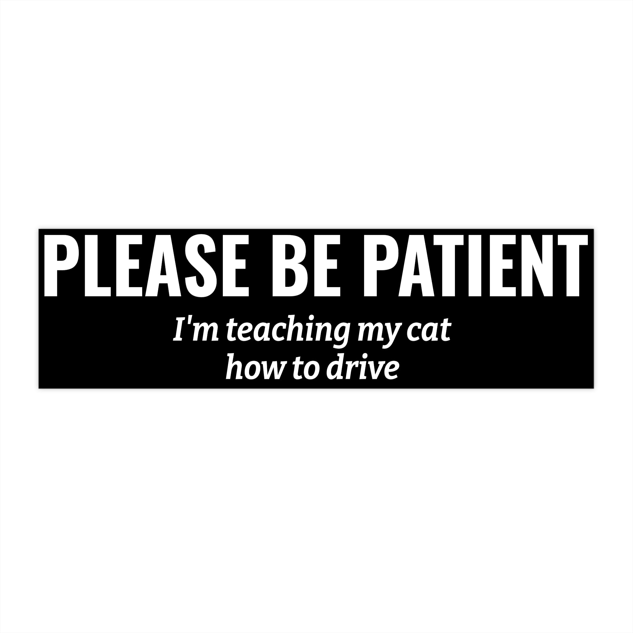 Please Be Patient Bumper Sticker — "I'm Teaching My Cat How to Drive" Humorous Car Decal (BLACK)