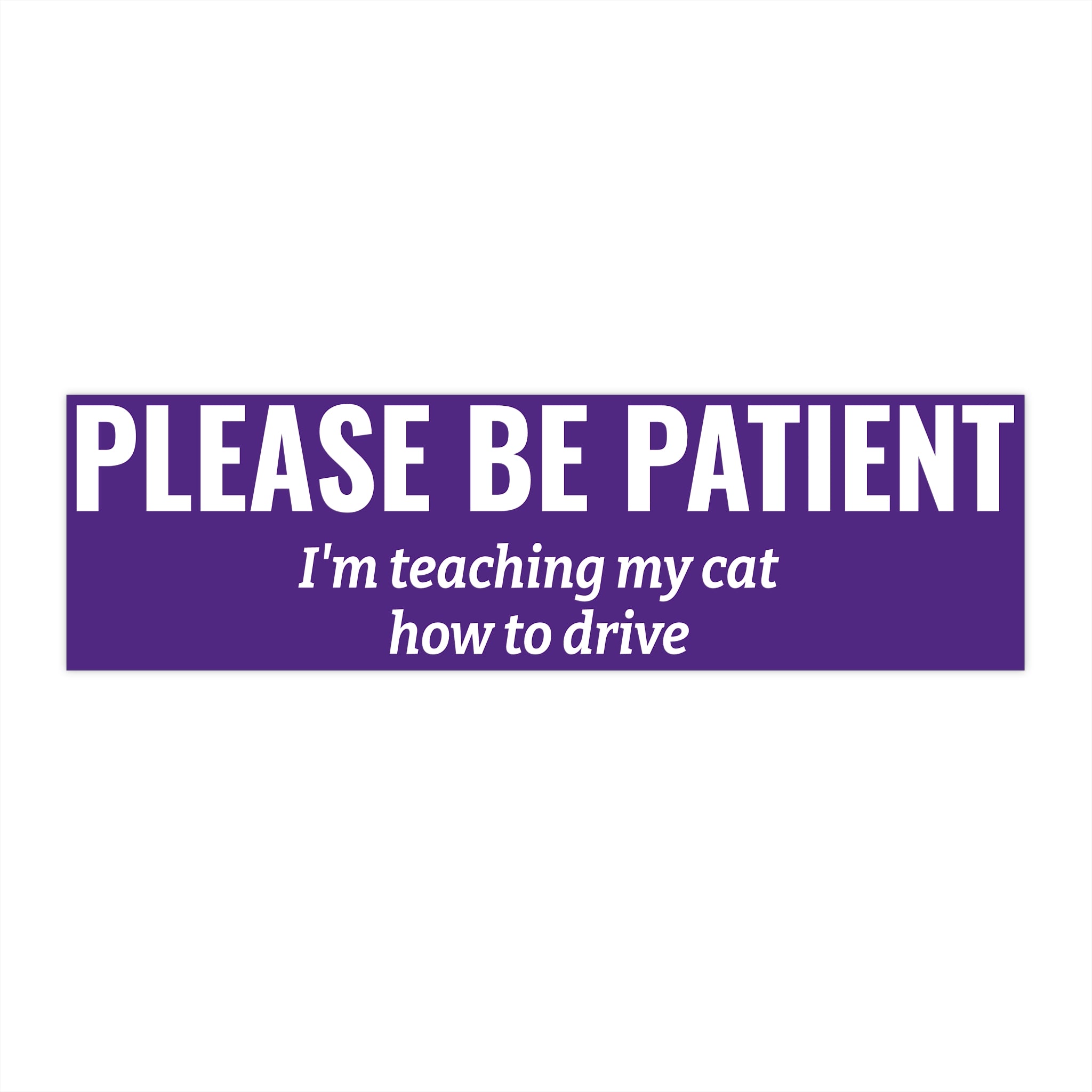 Please Be Patient Bumper Sticker — "I'm Teaching My Dog How to Drive" Humorous Car Decal (Purple)