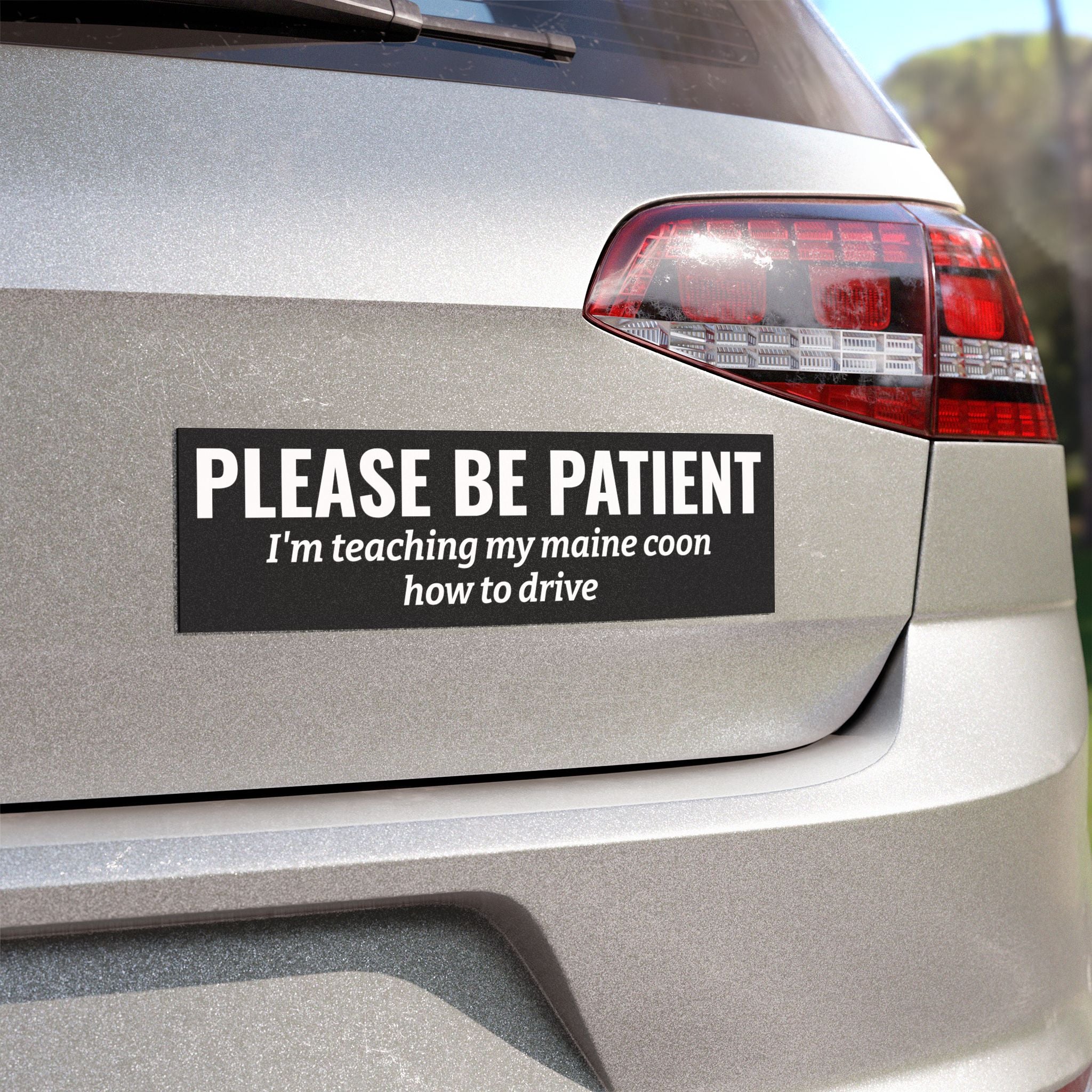 Please Be Patient, I'm Teaching My Cat How to Drive Bumper Magnet (BLACK)