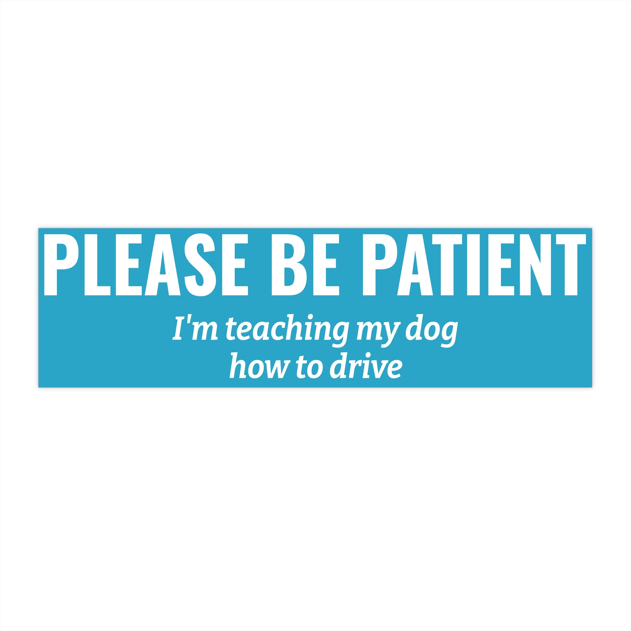 Copy of Please Be Patient Bumper Sticker — "I'm Teaching My Dog How to Drive" Humorous Car Decal
