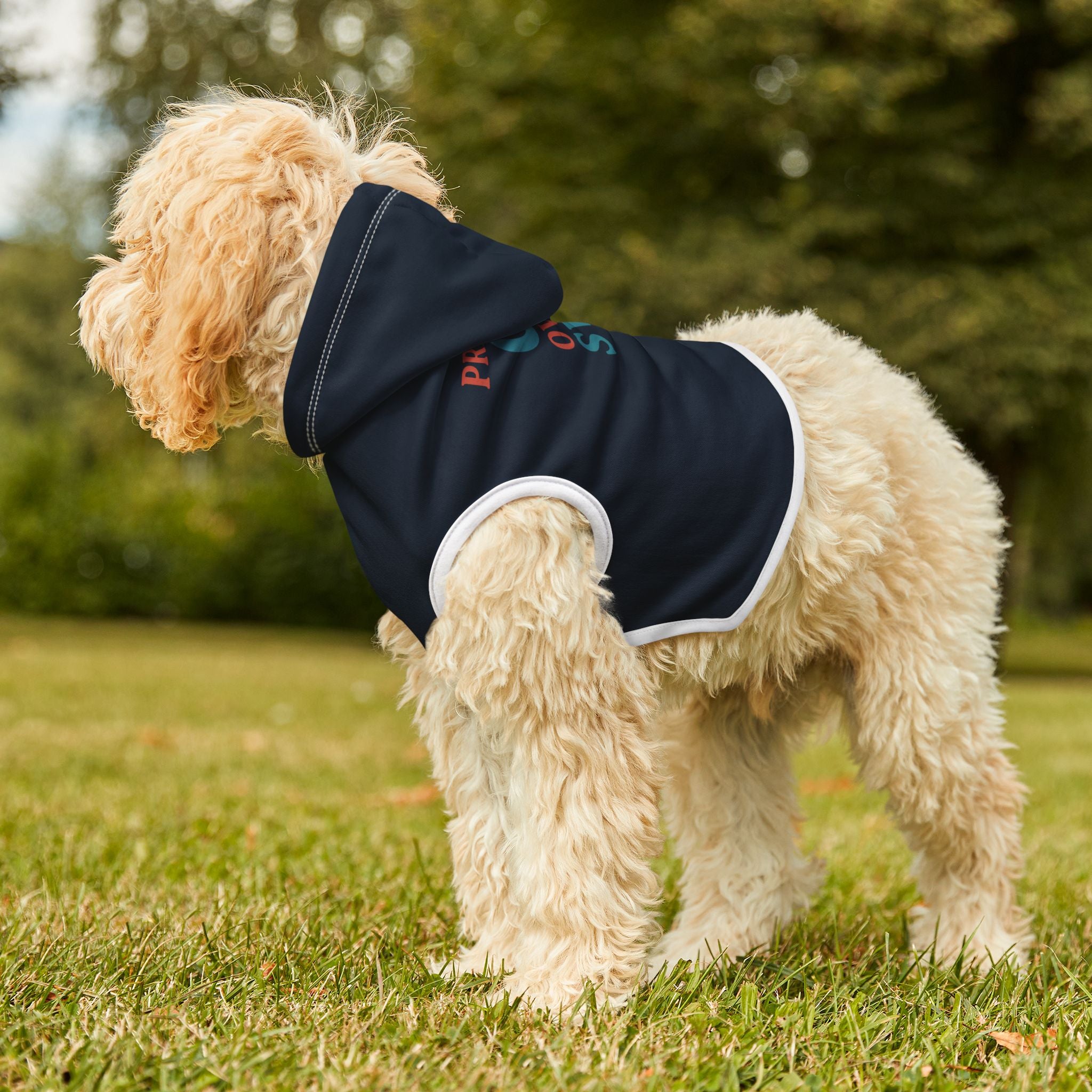 Prefers CI Over SVU Dog Hoodie – Funny Pet Sweatshirt for Crime-Loving Canines