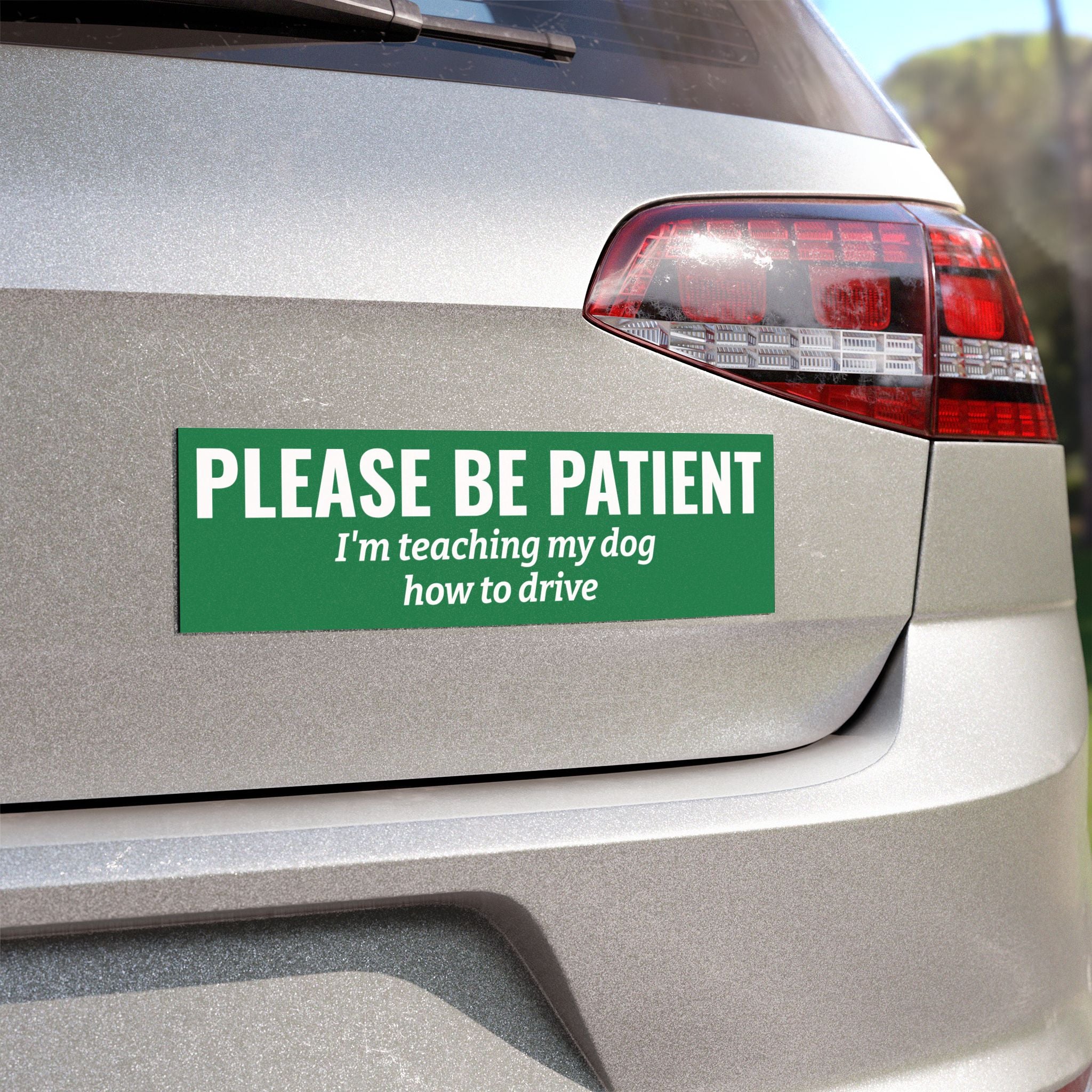 Please Be Patient, I'm Teaching My Dog How to Drive Bumper Magnet (GREEN)
