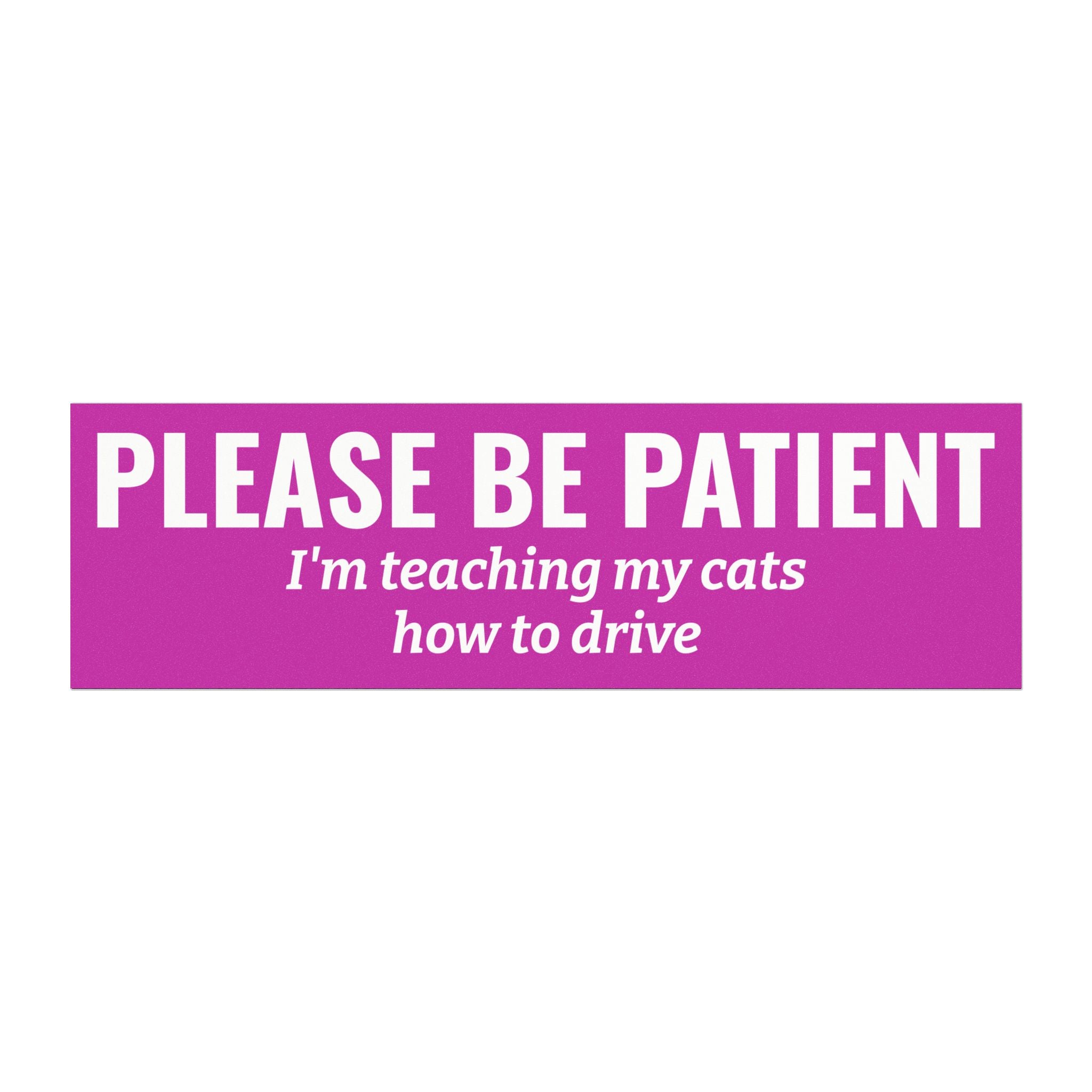 Please Be Patient, I'm Teaching My Cat How to Drive Bumper Magnet (PINK)