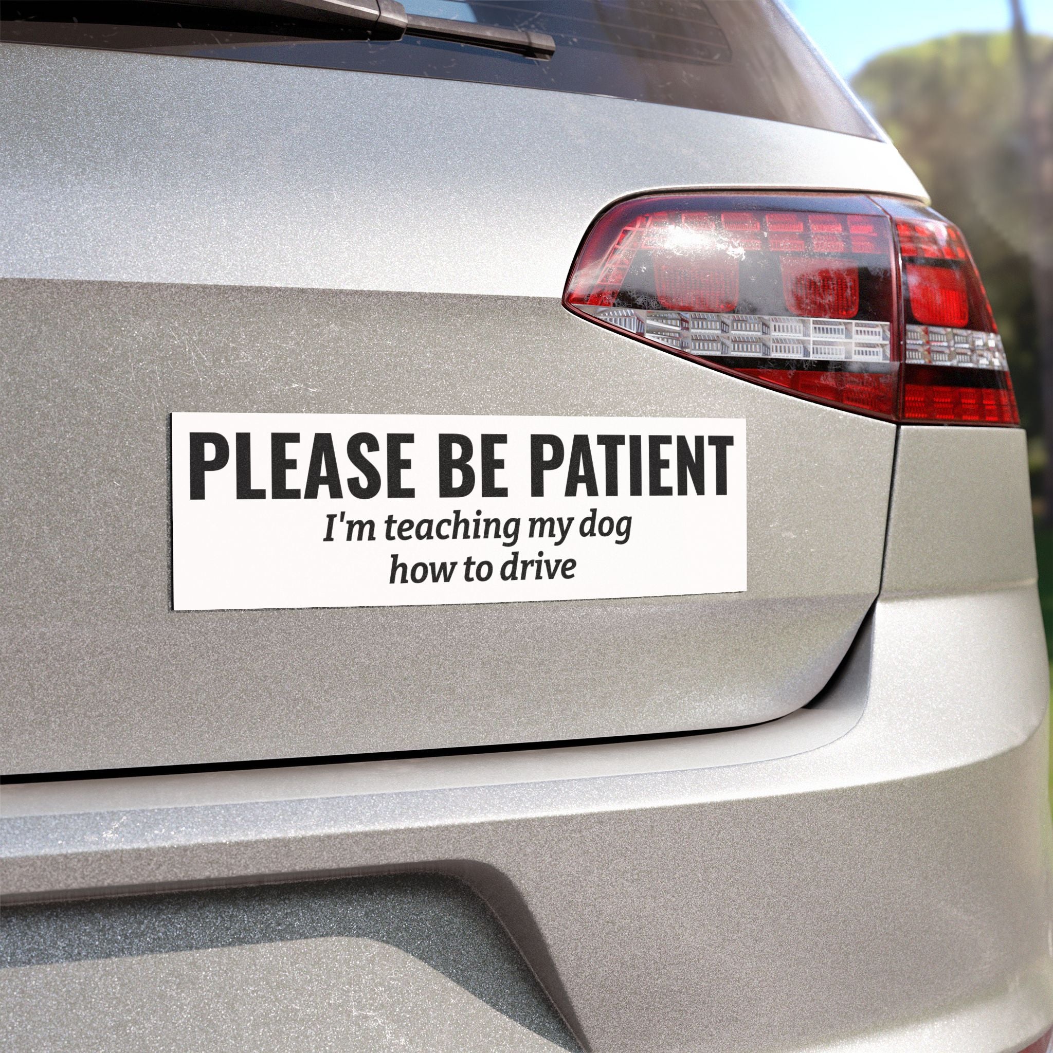 Please Be Patient, I'm Teaching My Cat How to Drive Bumper Magnet (BLACK)