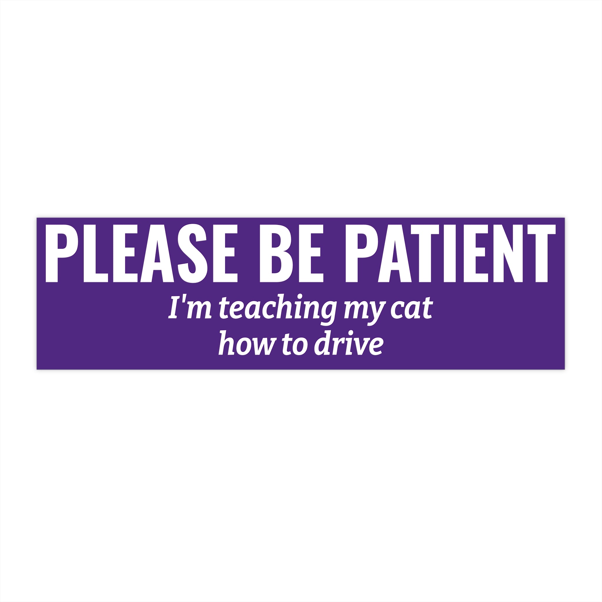Please Be Patient Bumper Sticker — "I'm Teaching My Dog How to Drive" Humorous Car Decal (Purple)