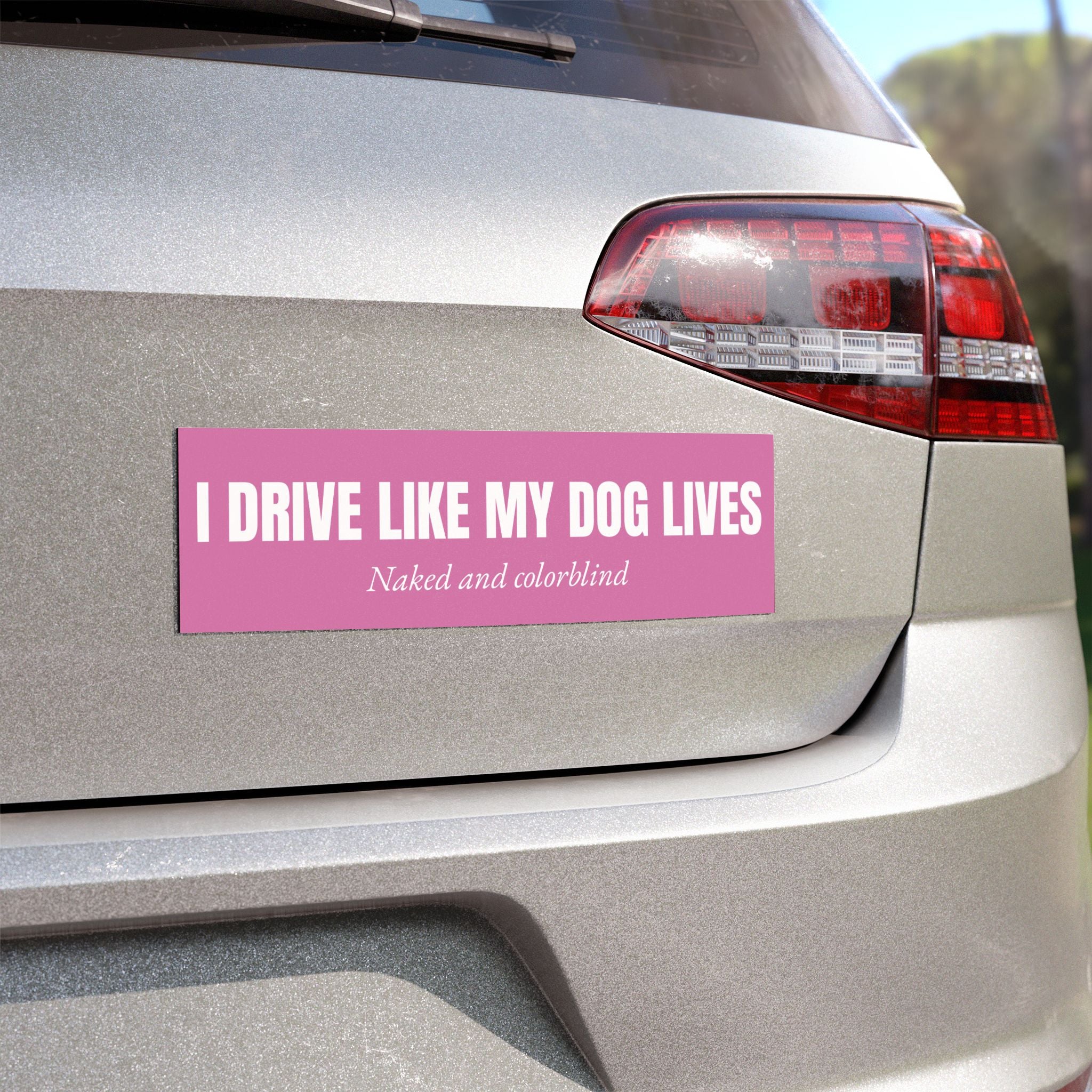 I Drive Like My Dog Lives Bumper Magnet -- Funny Car Decal for Dog Lovers
