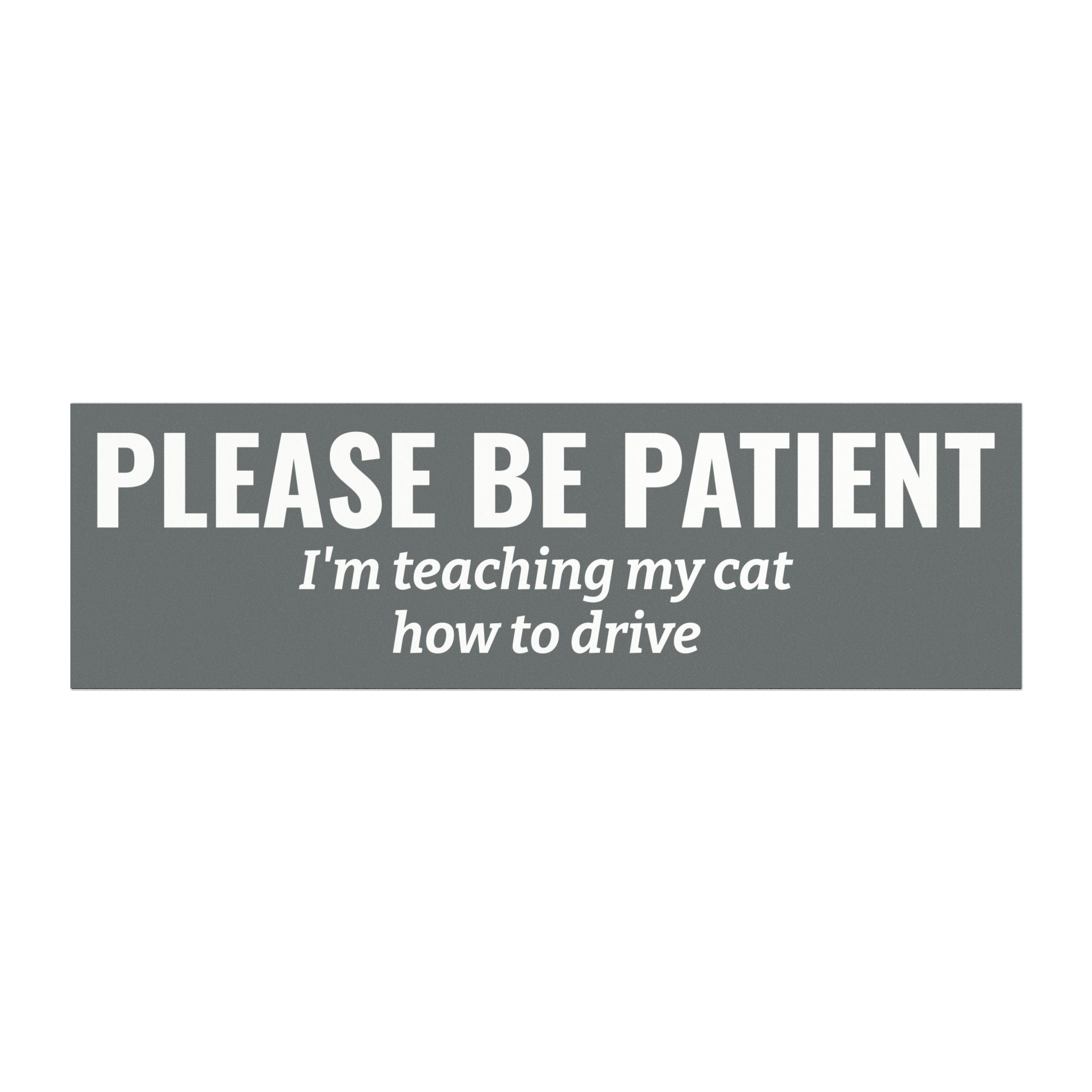 Please Be Patient, I'm Teaching My Dog How to Drive Bumper Magnet (GREY)