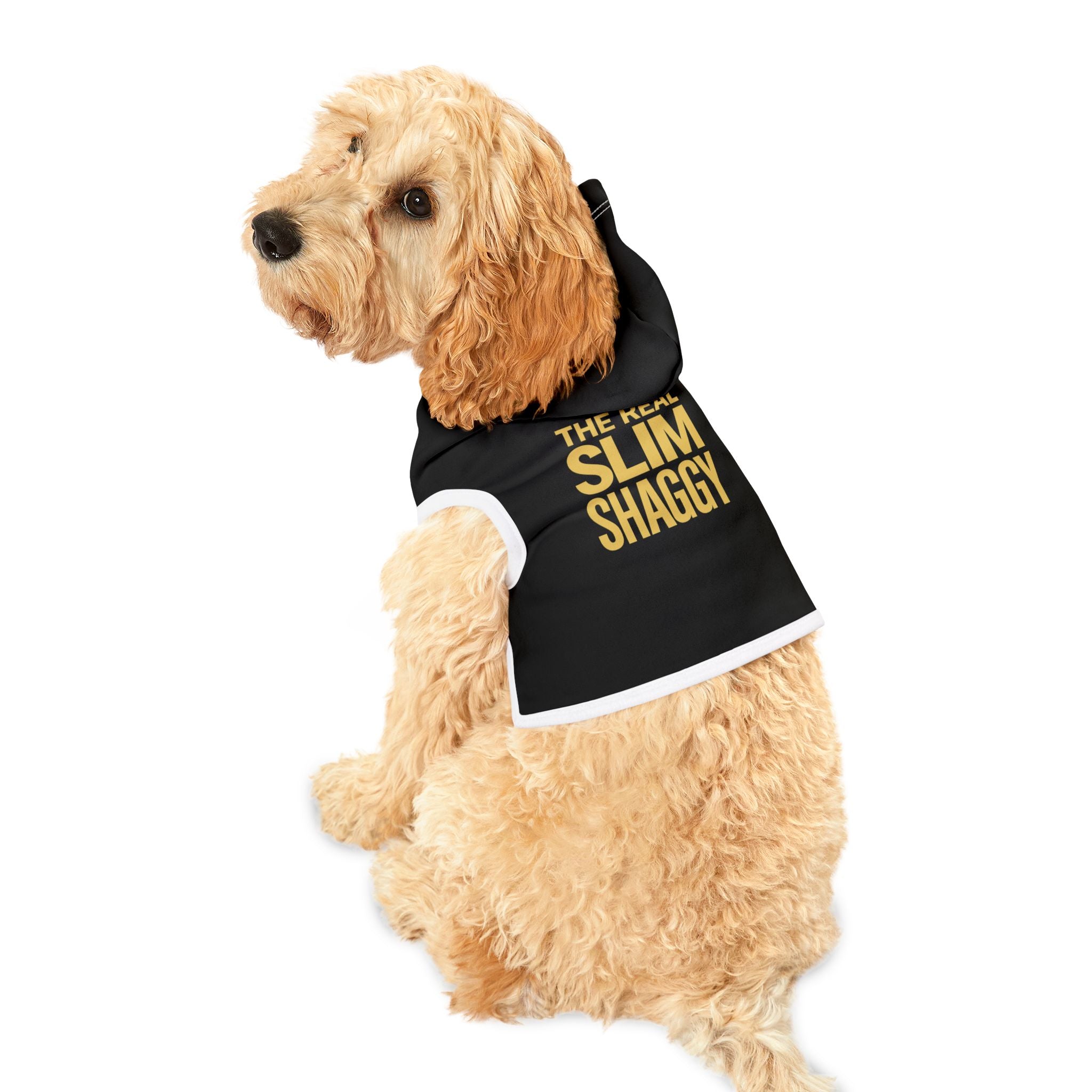 The Real Slim Shaggy Dog Hoodie – Funny Dog Halloween Costume