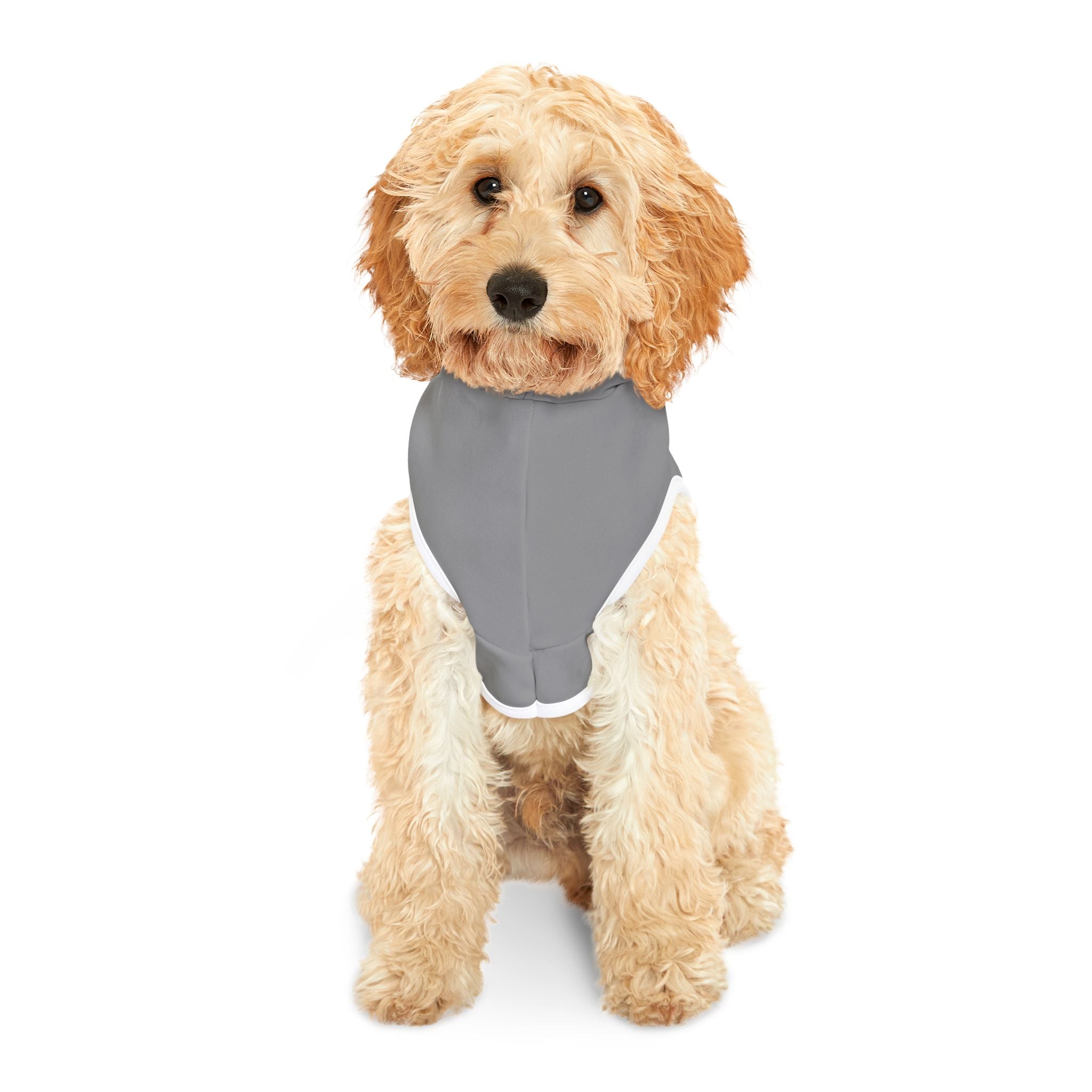 Rocky Barkboa Dog Hoodie – Funny Dog Halloween Costume