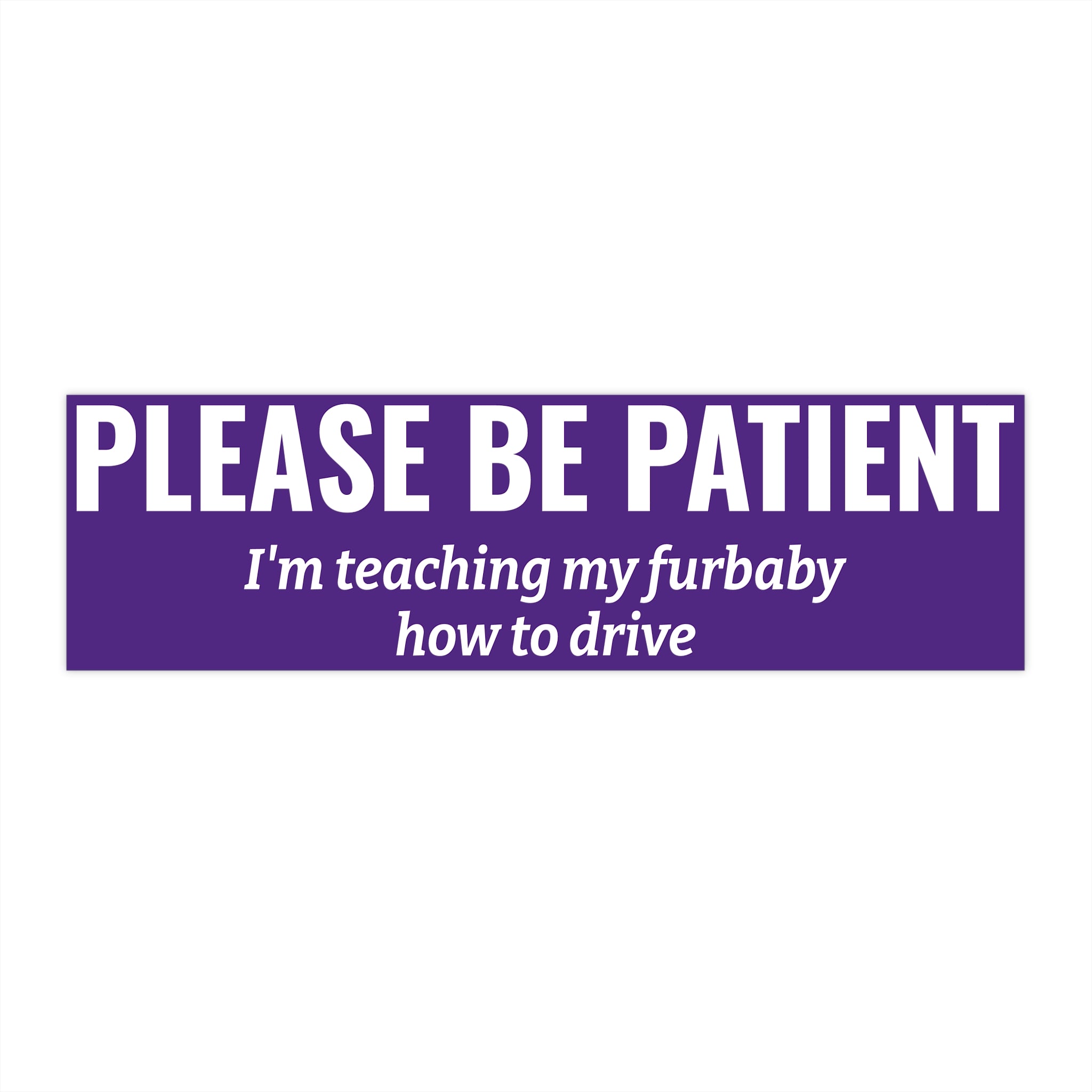 Please Be Patient Bumper Sticker — "I'm Teaching My Dog How to Drive" Humorous Car Decal (Purple)