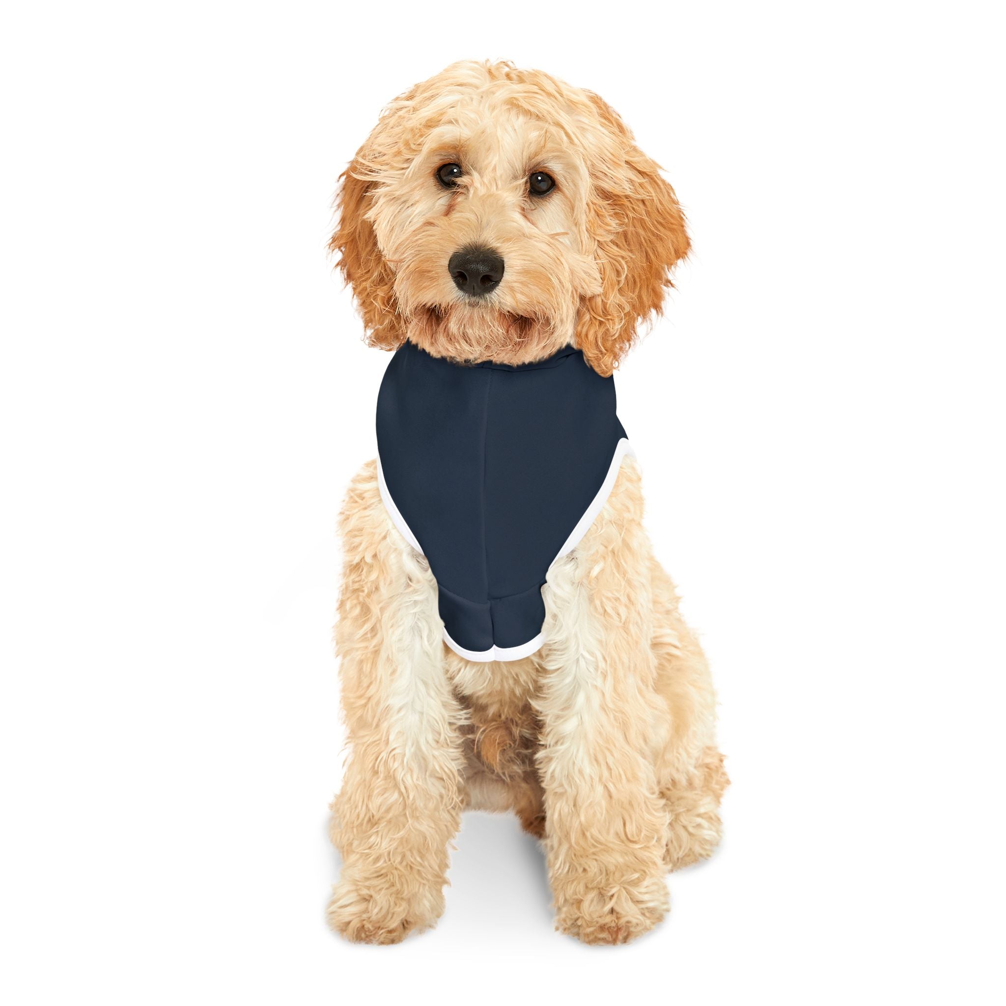 Ambivalent to Dakota Johnson Dog Hoodie – Funny Pet Sweatshirt for Dogs with Uncertain Celebrity Views