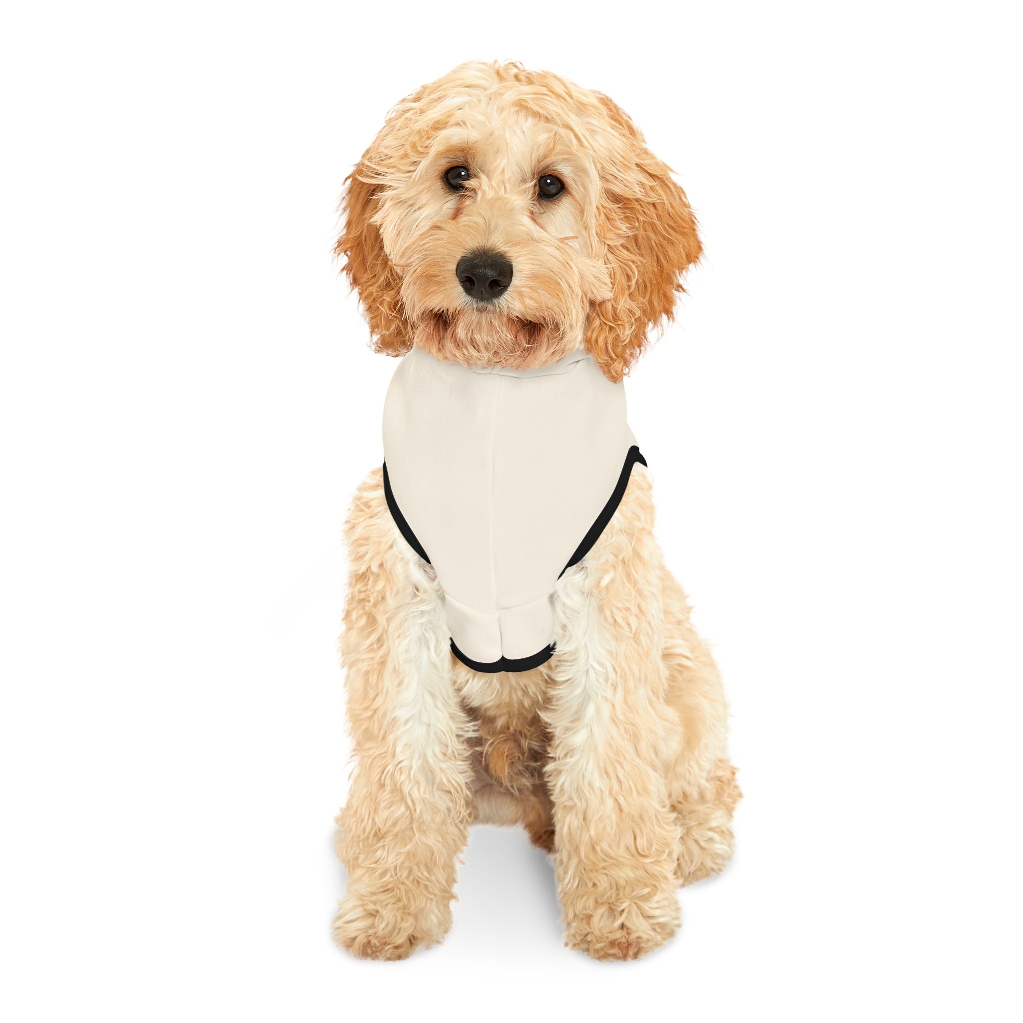 The Blurst of Times Dog Hoodie – Funny Pet Sweatshirt