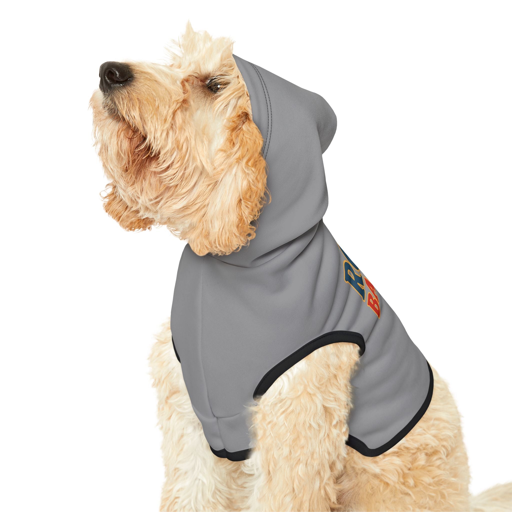 Rocky Barkboa Dog Hoodie – Funny Dog Halloween Costume