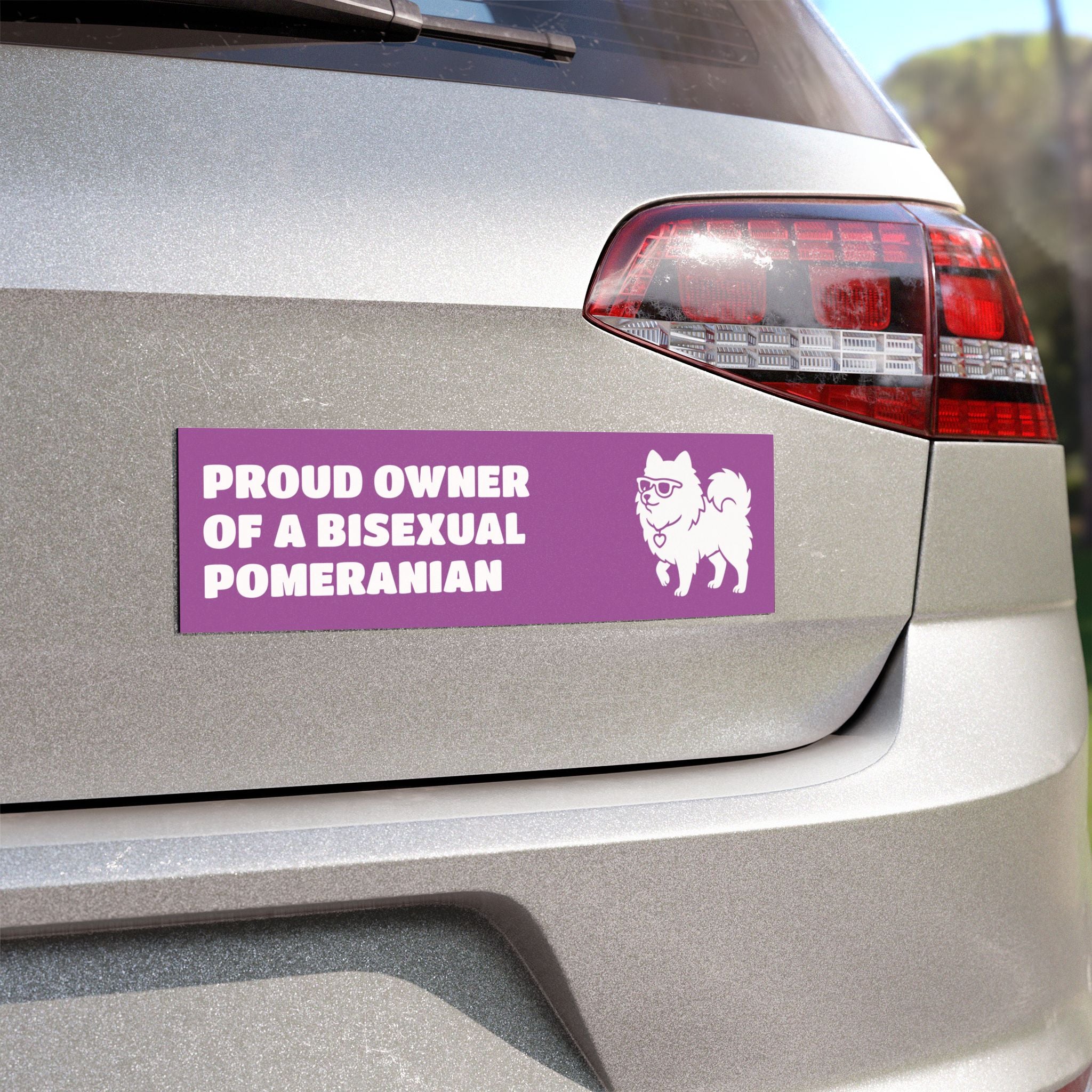 Proud Owner Of A Bisexual Pomeranian Vehicle Magnet - Funny Car Decoration for Dog Lovers