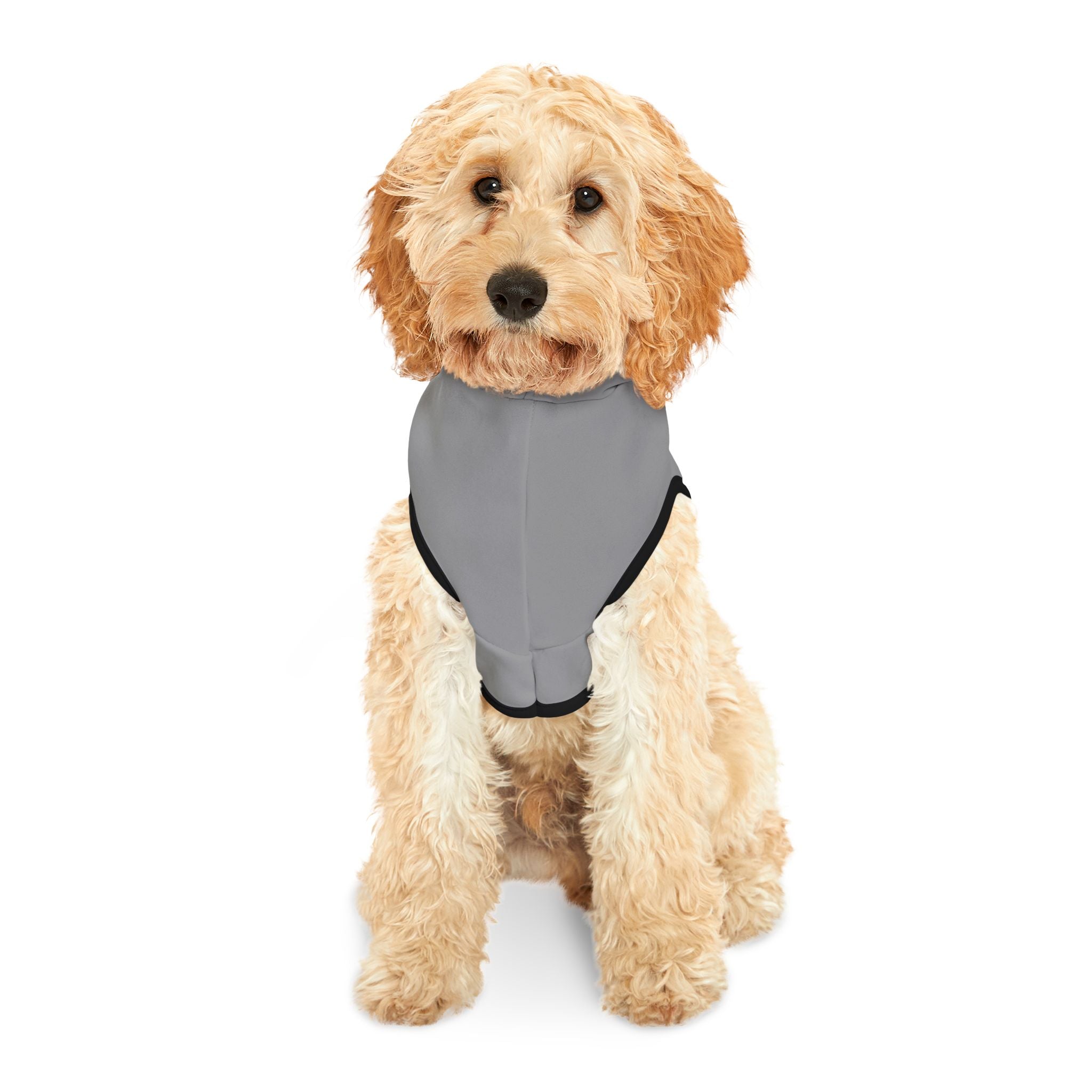 Rocky Barkboa Dog Hoodie – Funny Dog Halloween Costume