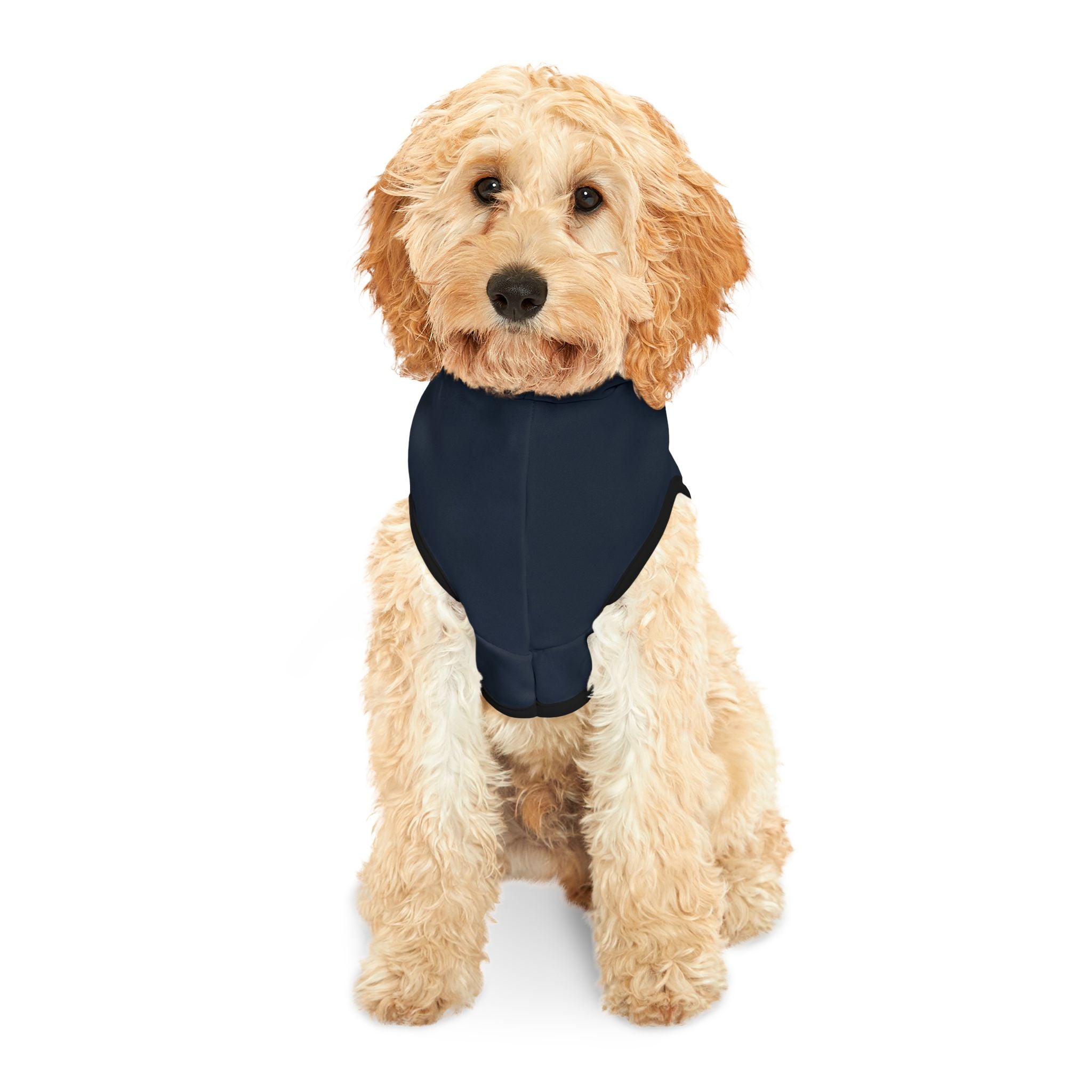 Prefers CI Over SVU Dog Hoodie – Funny Pet Sweatshirt for Crime-Loving Canines