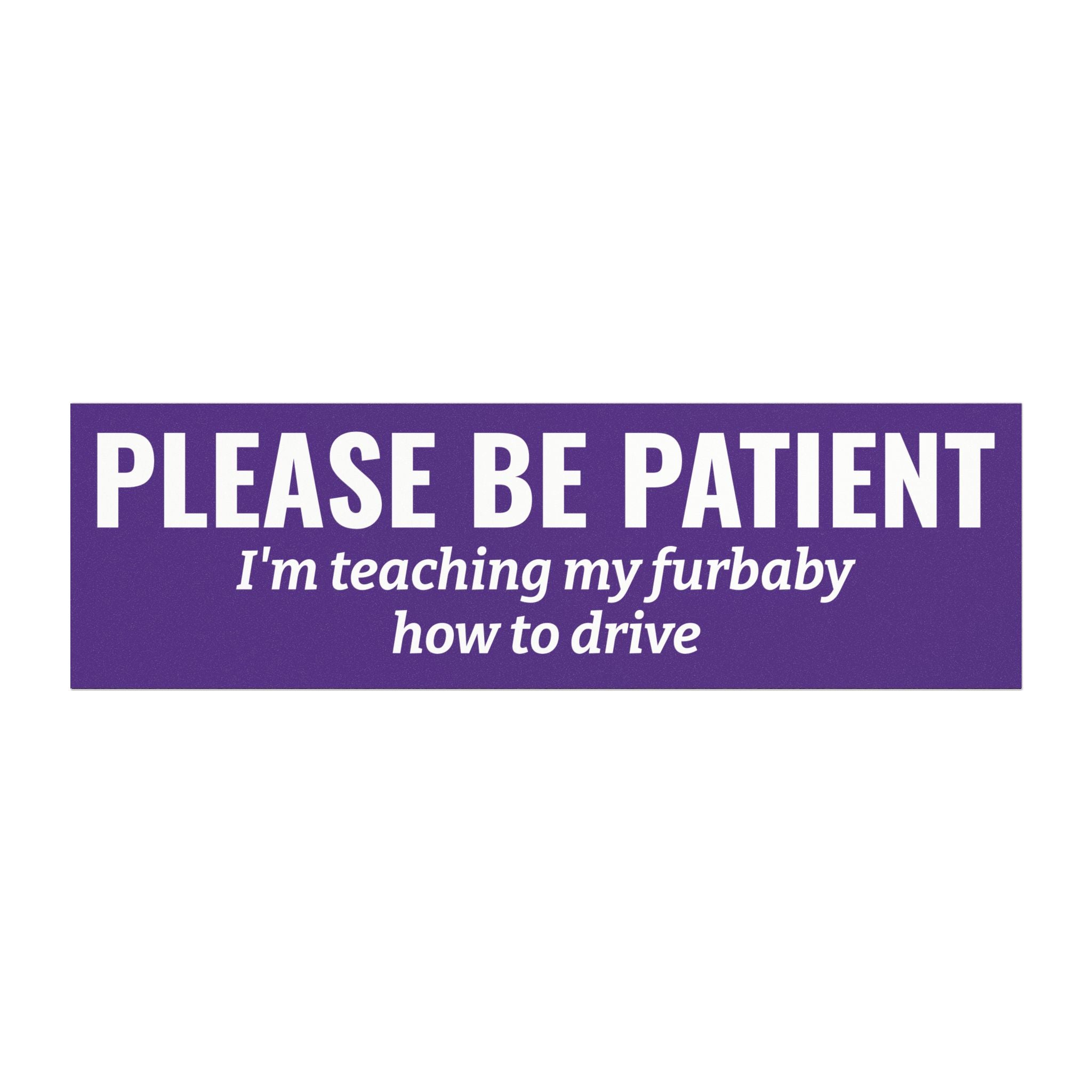 Please Be Patient, I'm Teaching My Dog How to Drive Bumper Magnet (PURPLE)