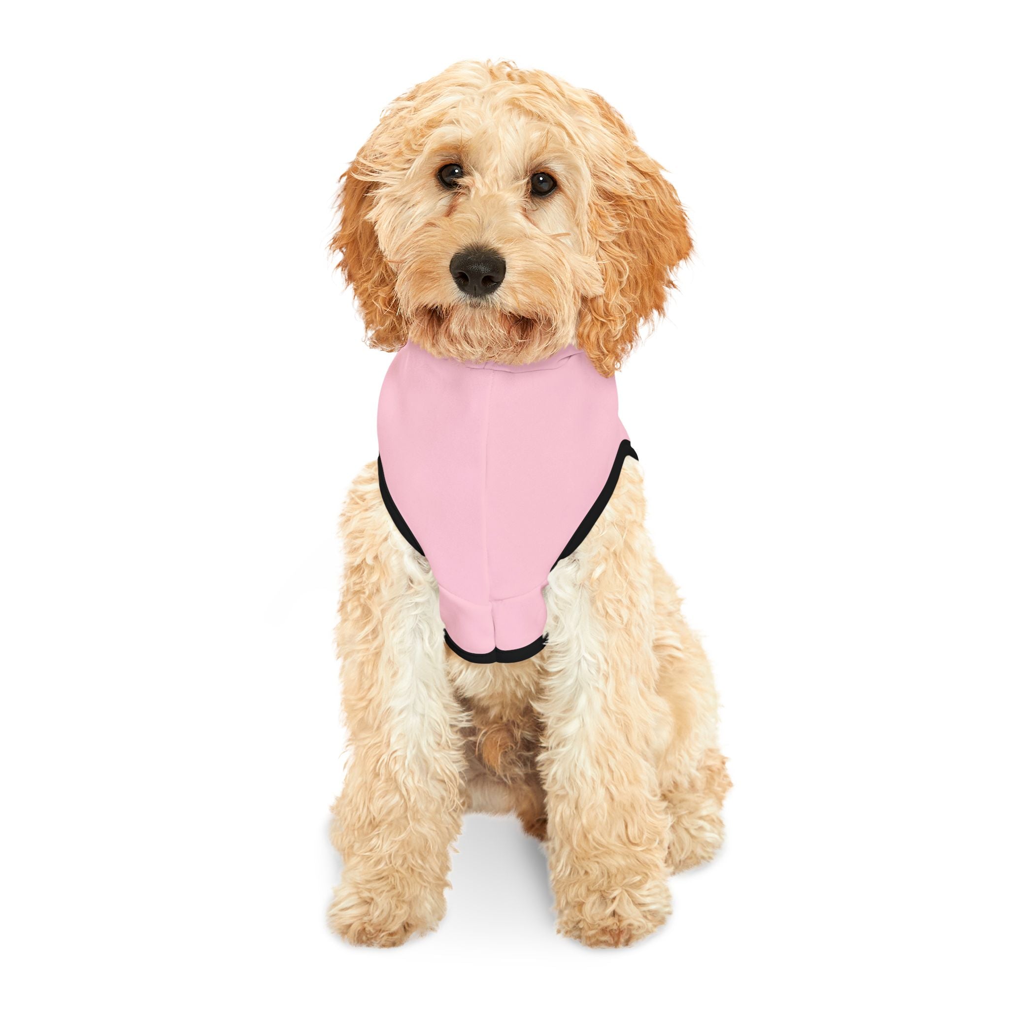Nepo Baby Dog Hoodie – Funny Pet Sweatshirt for Spoiled Celebrity Dogs