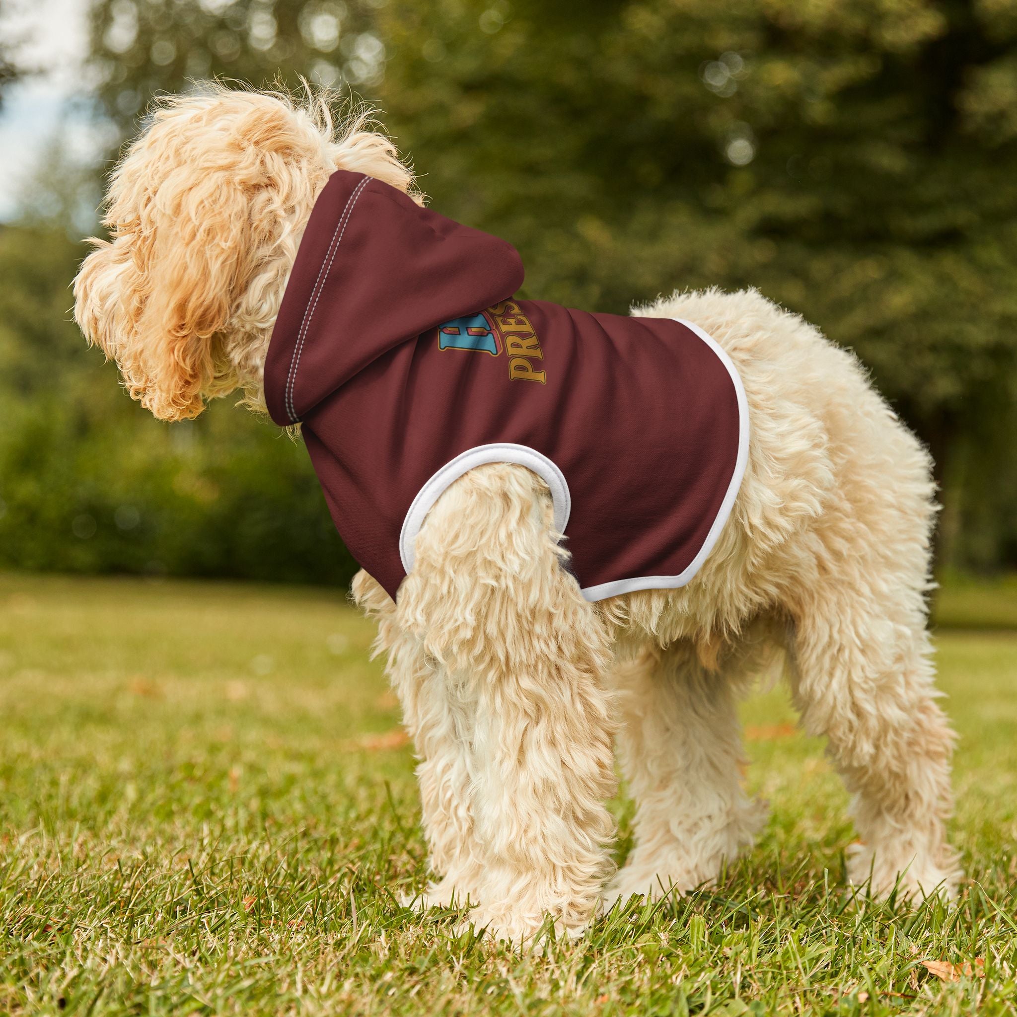 HOA President Dog Hoodie – Funny Pet Sweatshirt for Uptight Neighborhood Watch Dogs