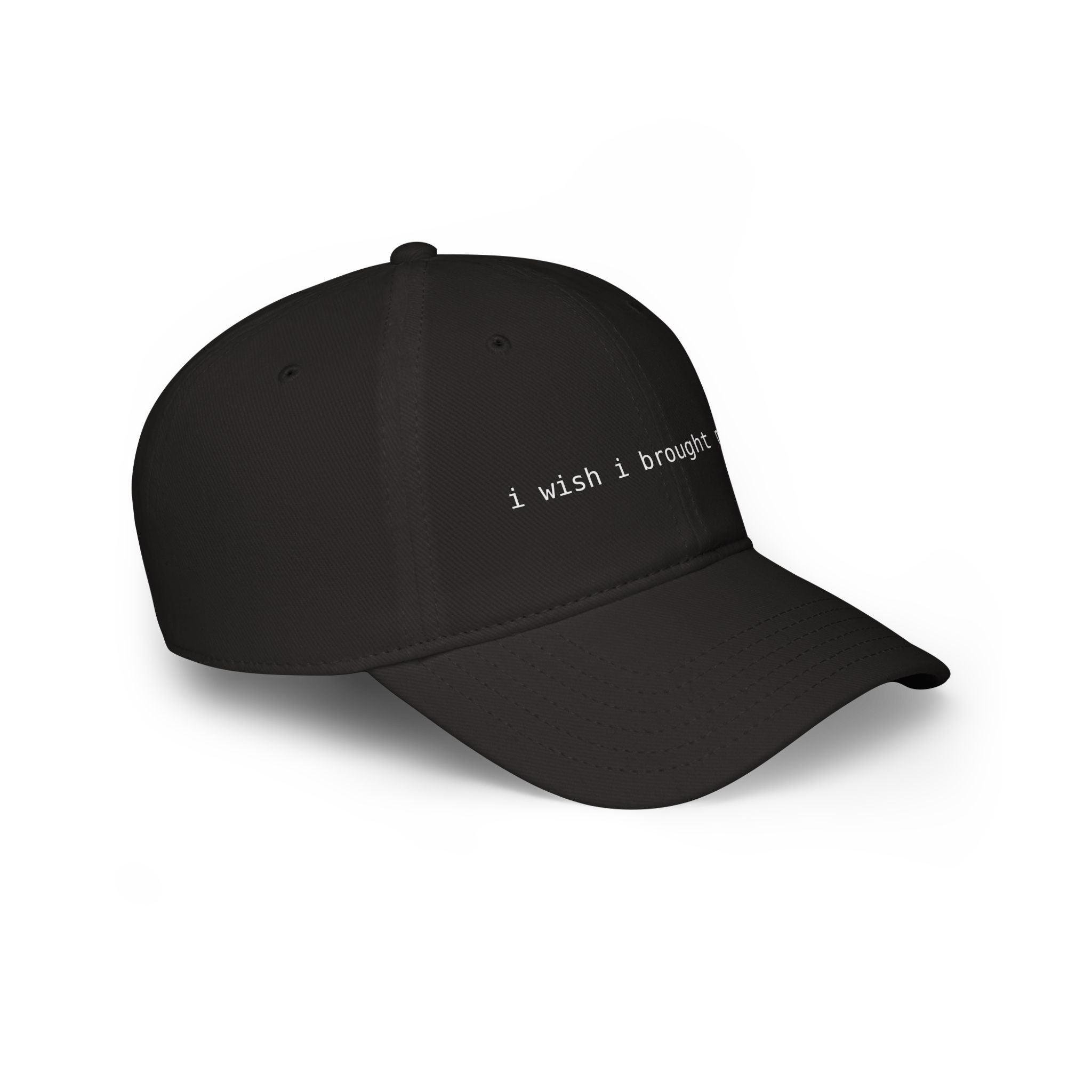 I Wish I Brought My Dog Low Profile Baseball Cap