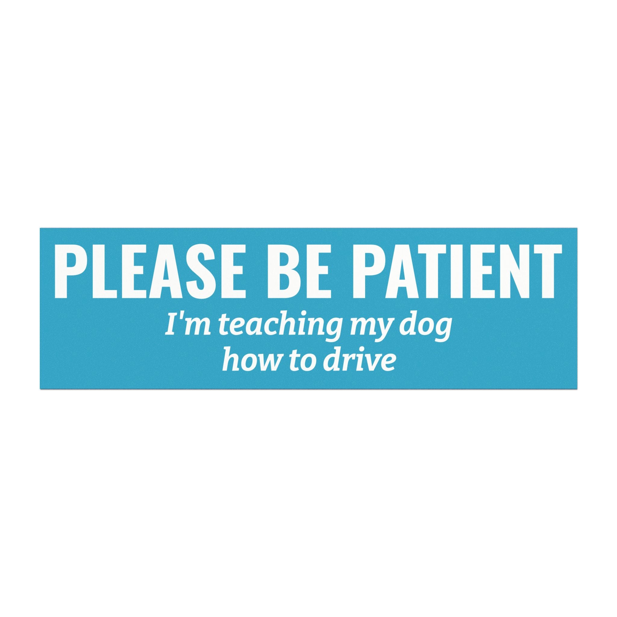 Please Be Patient, I'm Teaching My Dog How to Drive Bumper Magnet (SKY BLUE)