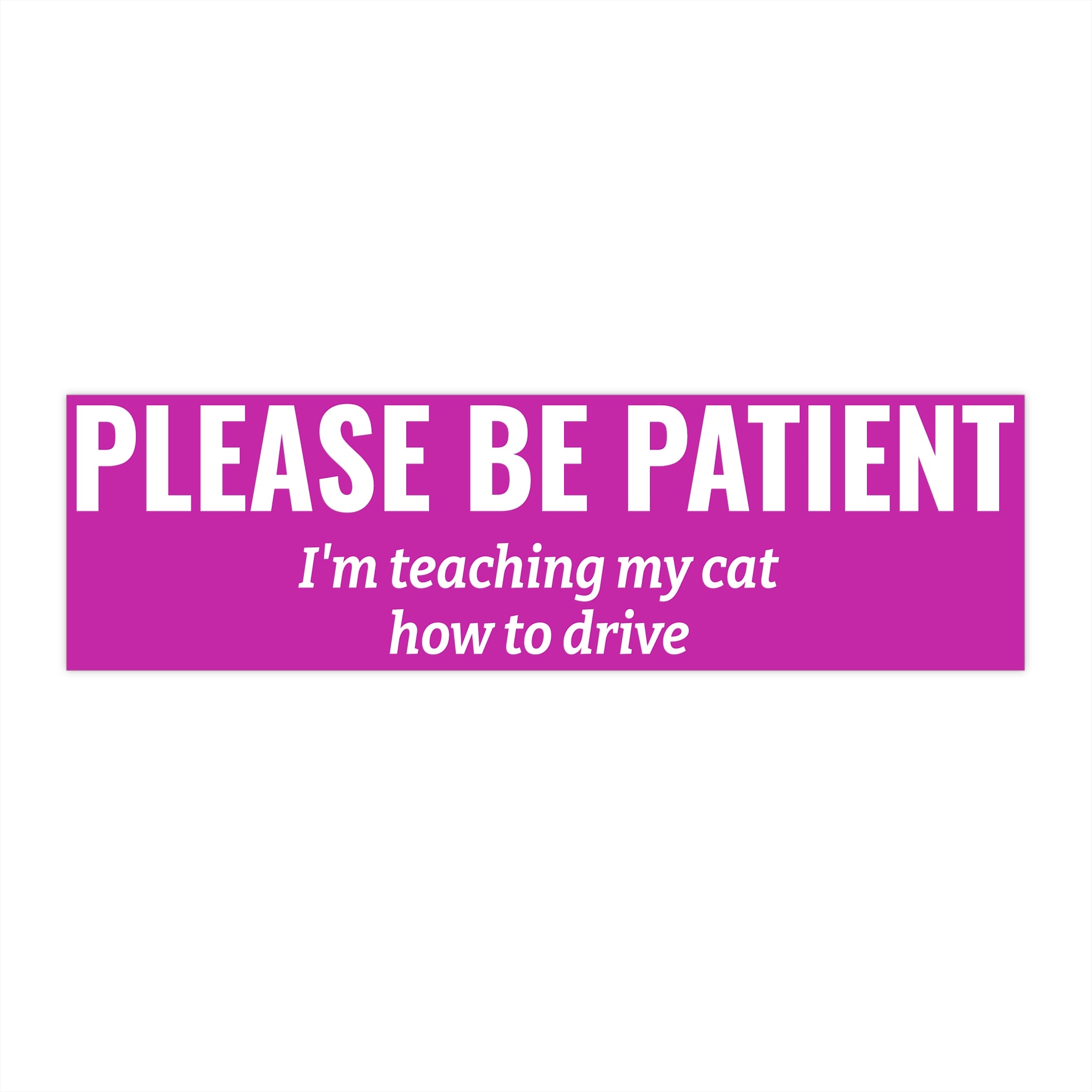 Please Be Patient Bumper Sticker — "I'm Teaching My Cat How to Drive" Humorous Car Decal