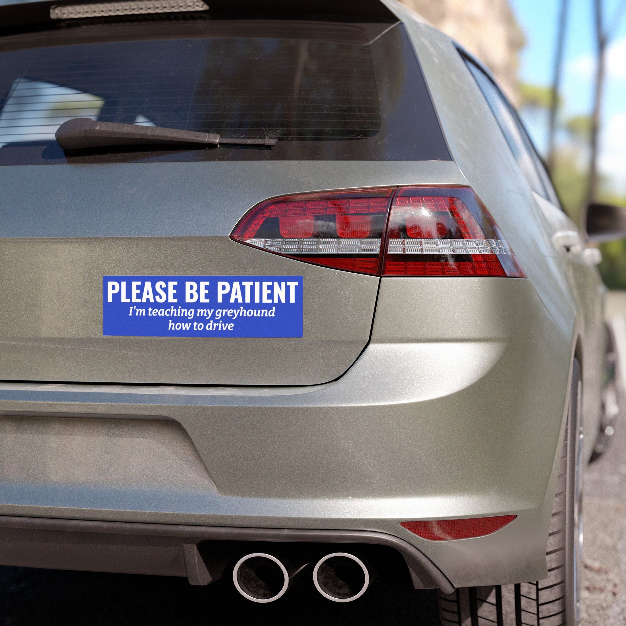 Copy of lease Be Patient, I'm Teaching My Cat How to Drive Bumper Magnet (PINK)