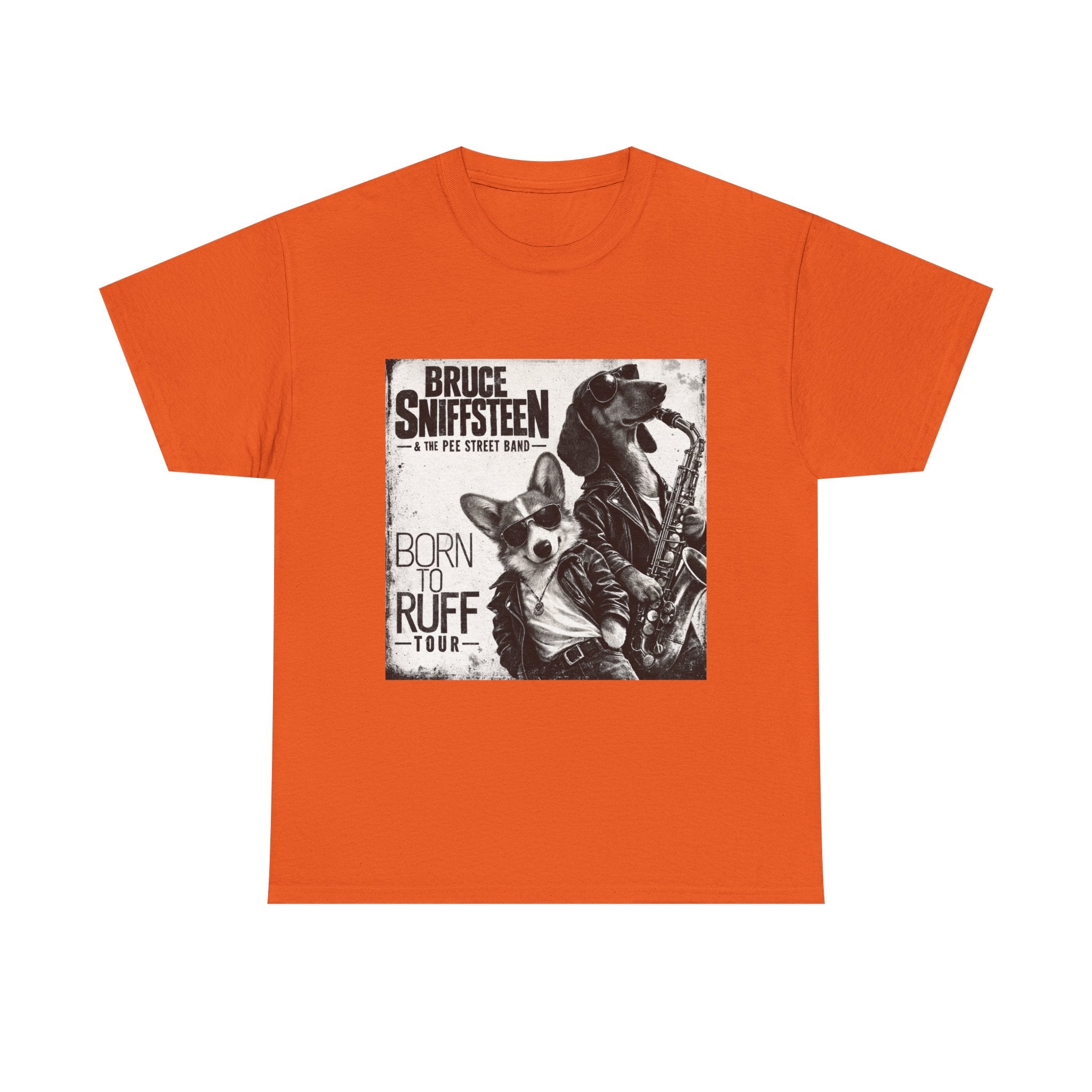 Bruce Sniffsteen & the Pee Street Band Shirt -- Funny Bruce Springsteen 2026 Tour Shirt Parody