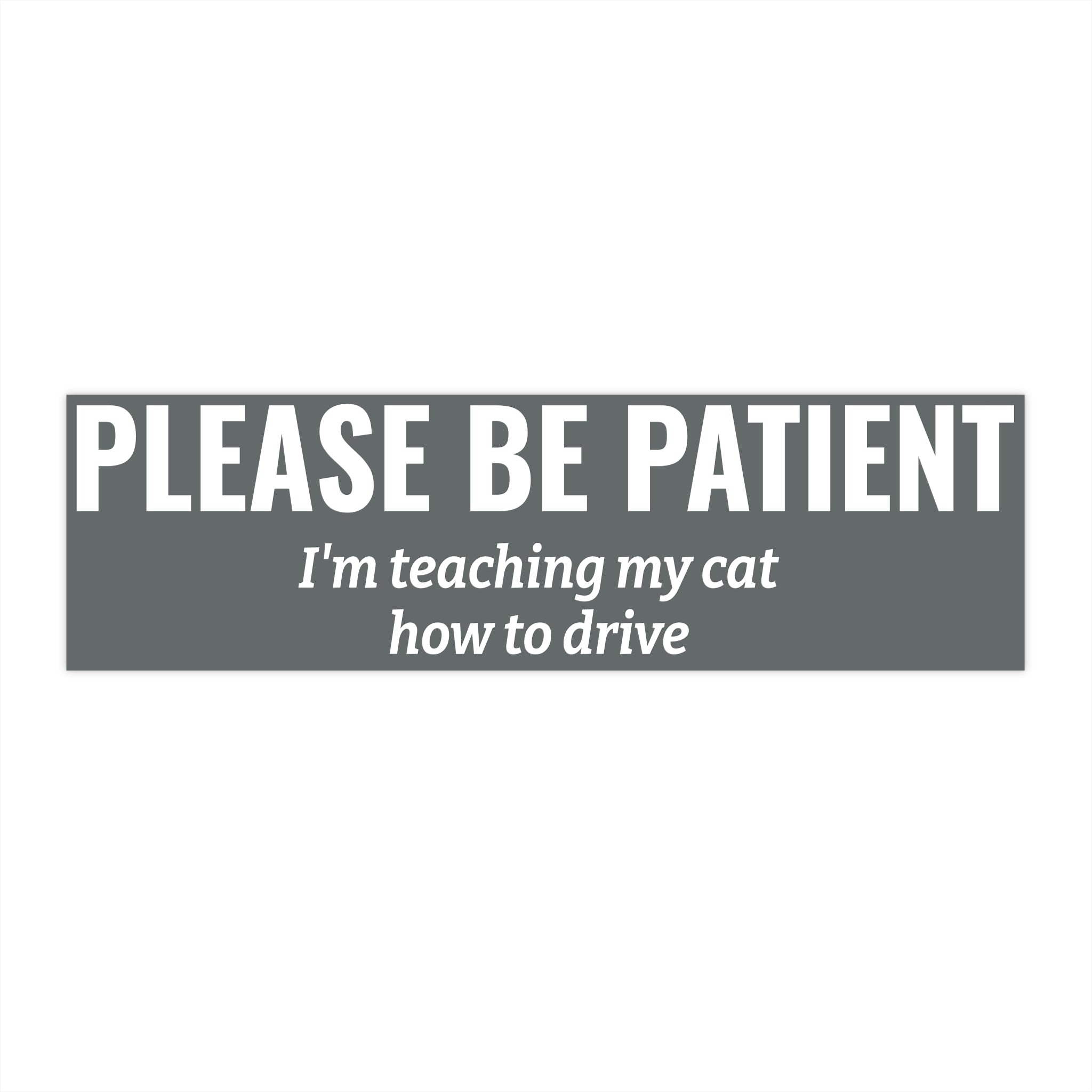 Please Be Patient Bumper Sticker — "I'm Teaching My Cat How to Drive" Humorous Car Decal (Light Pink)