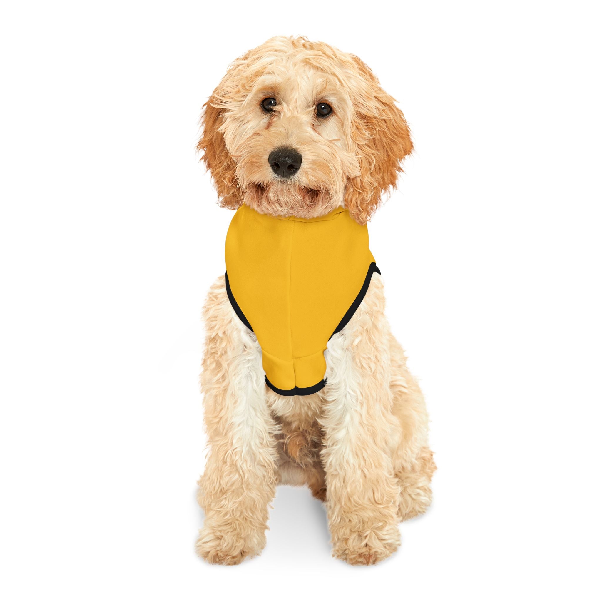 Jesse Pinkman Parody Dog Hoodie – Funny Dog Halloween Costume for Breaking Bad fans