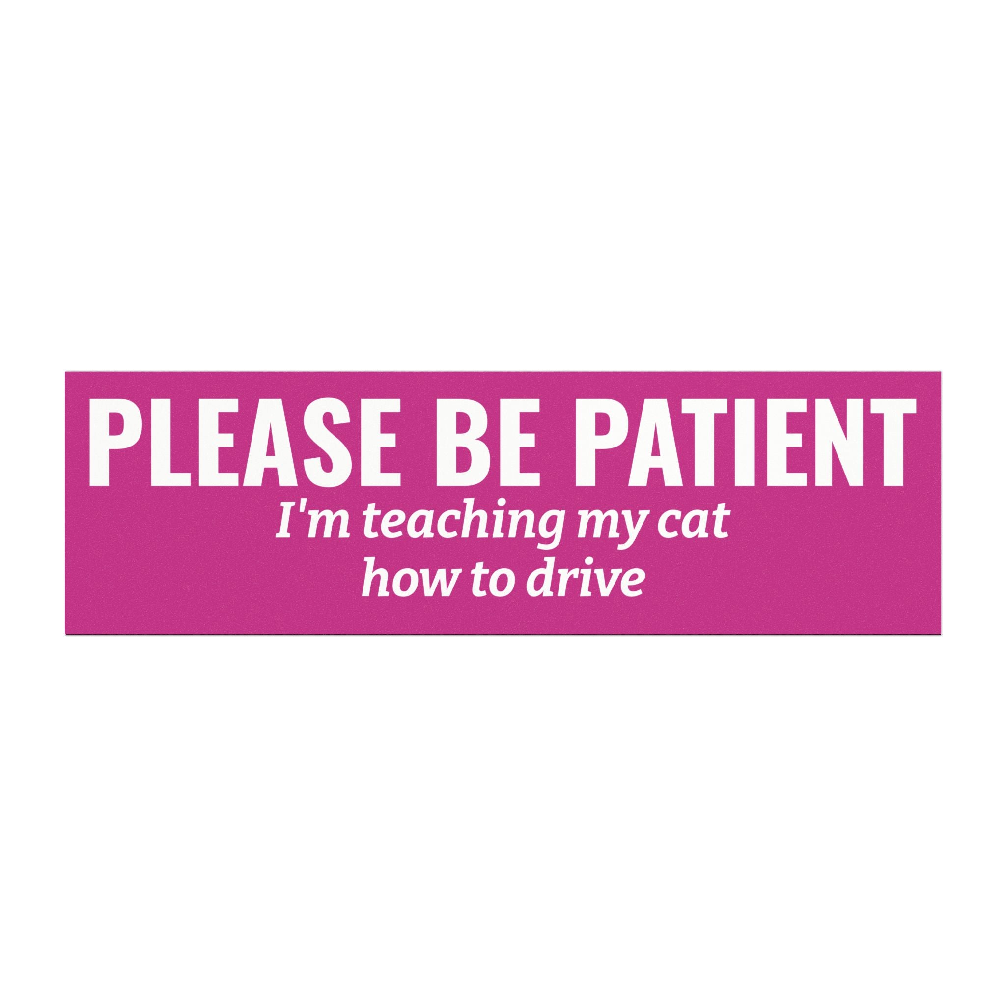 Copy of Please Be Patient, I'm Teaching My Dog How to Drive Bumper Magnet (PINK)