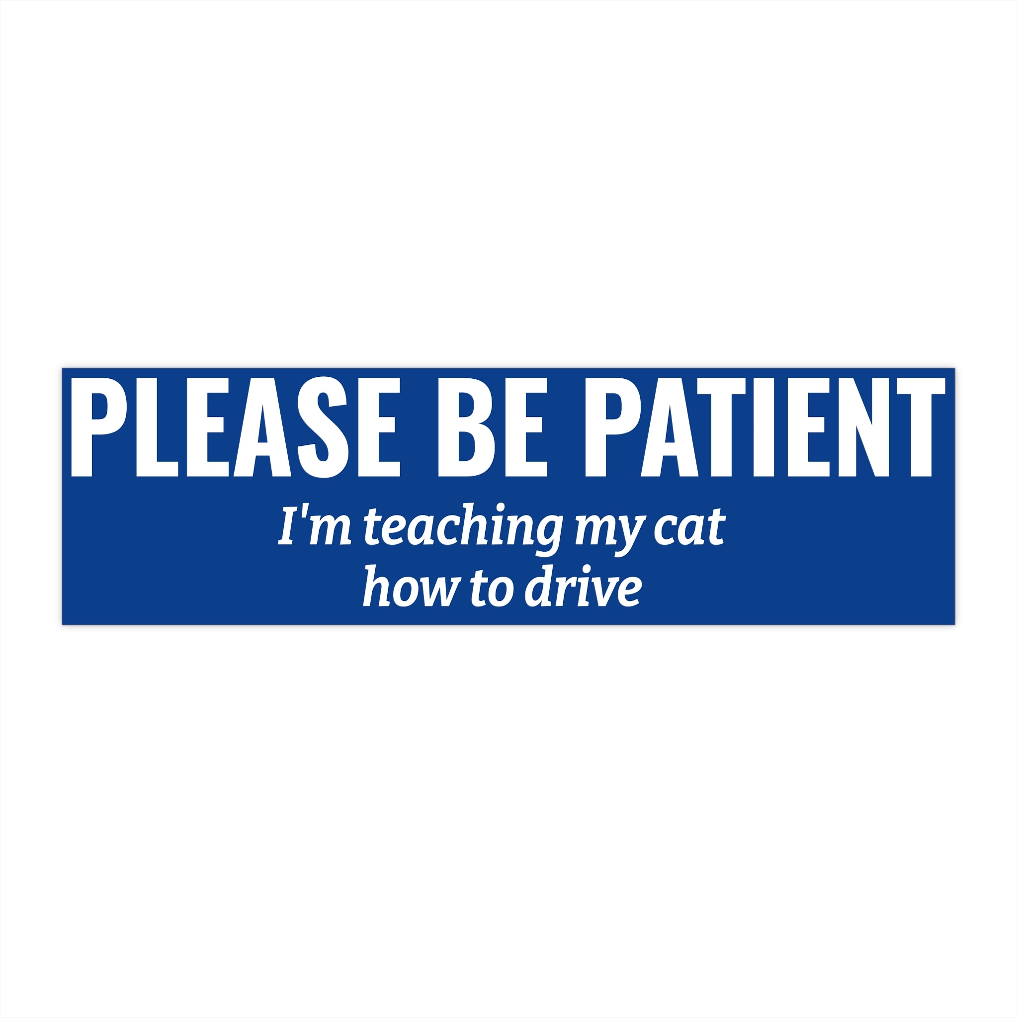 Copy of Please Be Patient Bumper Sticker — "I'm Teaching My Dog How to Drive" Humorous Car Decal (Purple)
