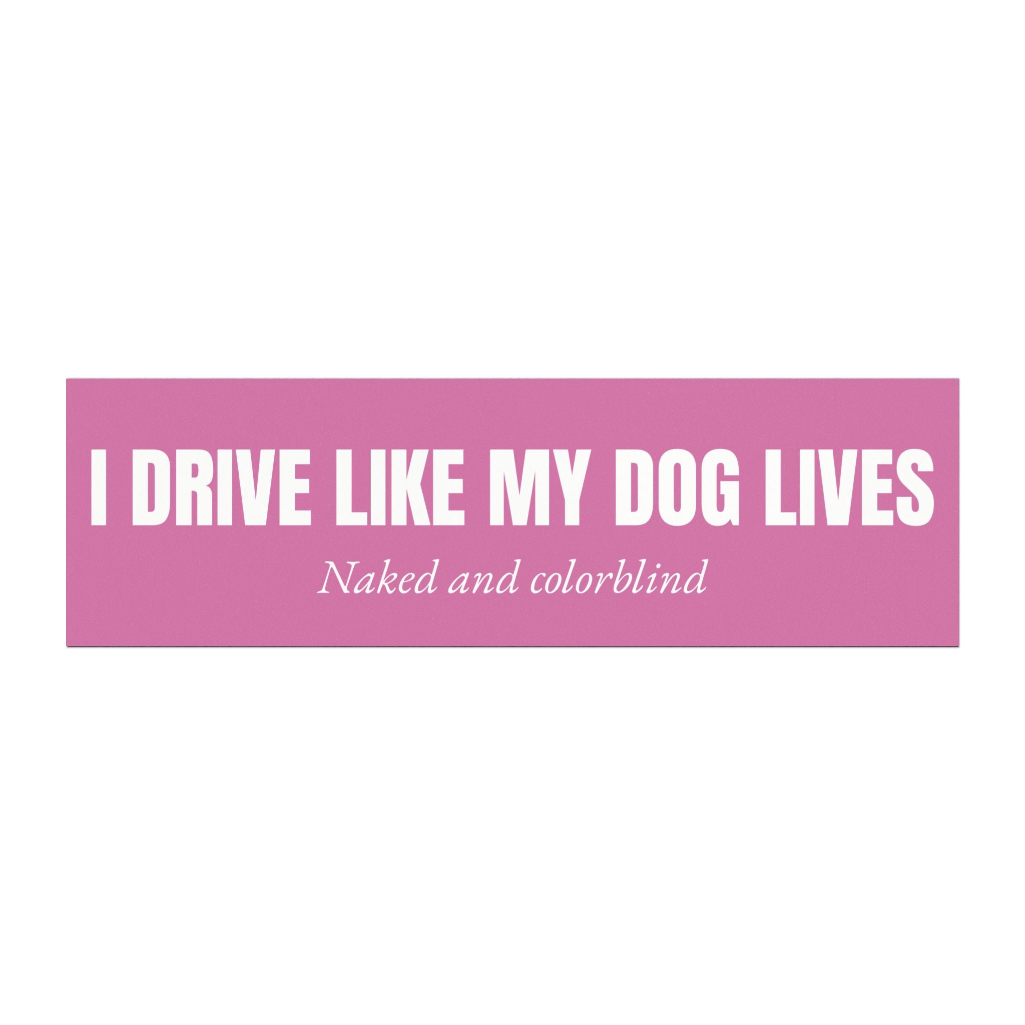 I Drive Like My Dog Lives Bumper Magnet -- Funny Car Decal for Dog Lovers