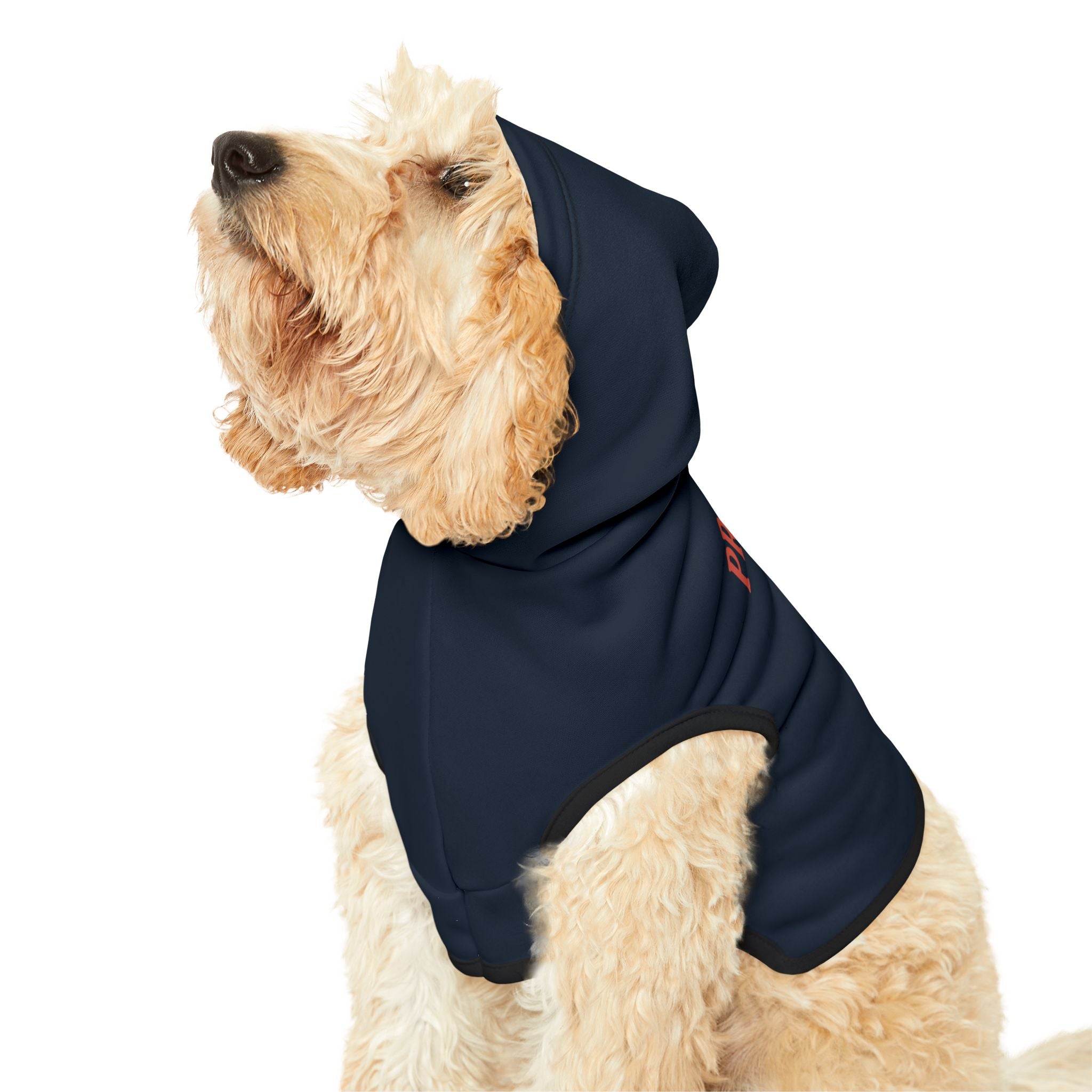Prefers CI Over SVU Dog Hoodie – Funny Pet Sweatshirt for Crime-Loving Canines