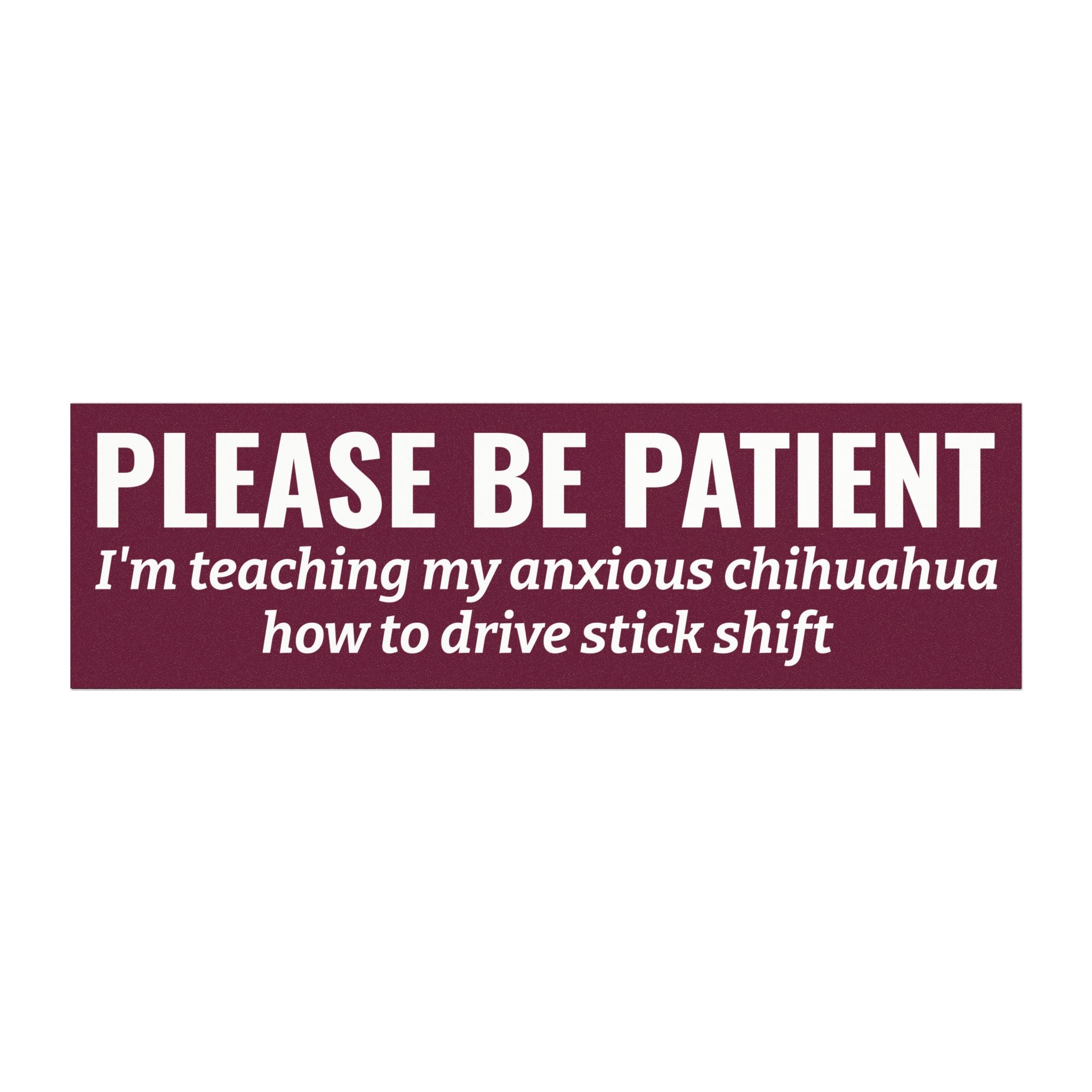 Copy of lease Be Patient, I'm Teaching My Cat How to Drive Bumper Magnet (PINK)
