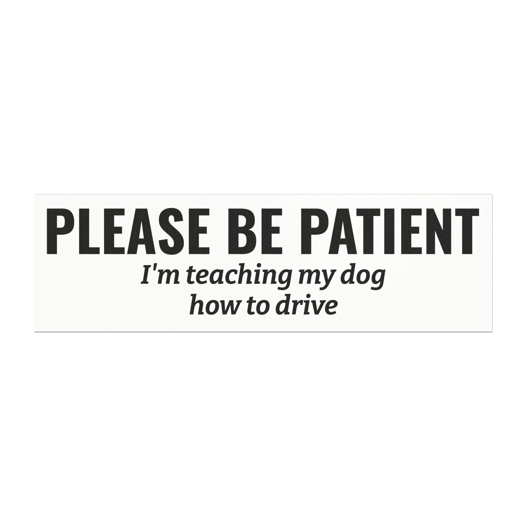Please Be Patient, I'm Teaching My Cat How to Drive Bumper Magnet (BLACK)