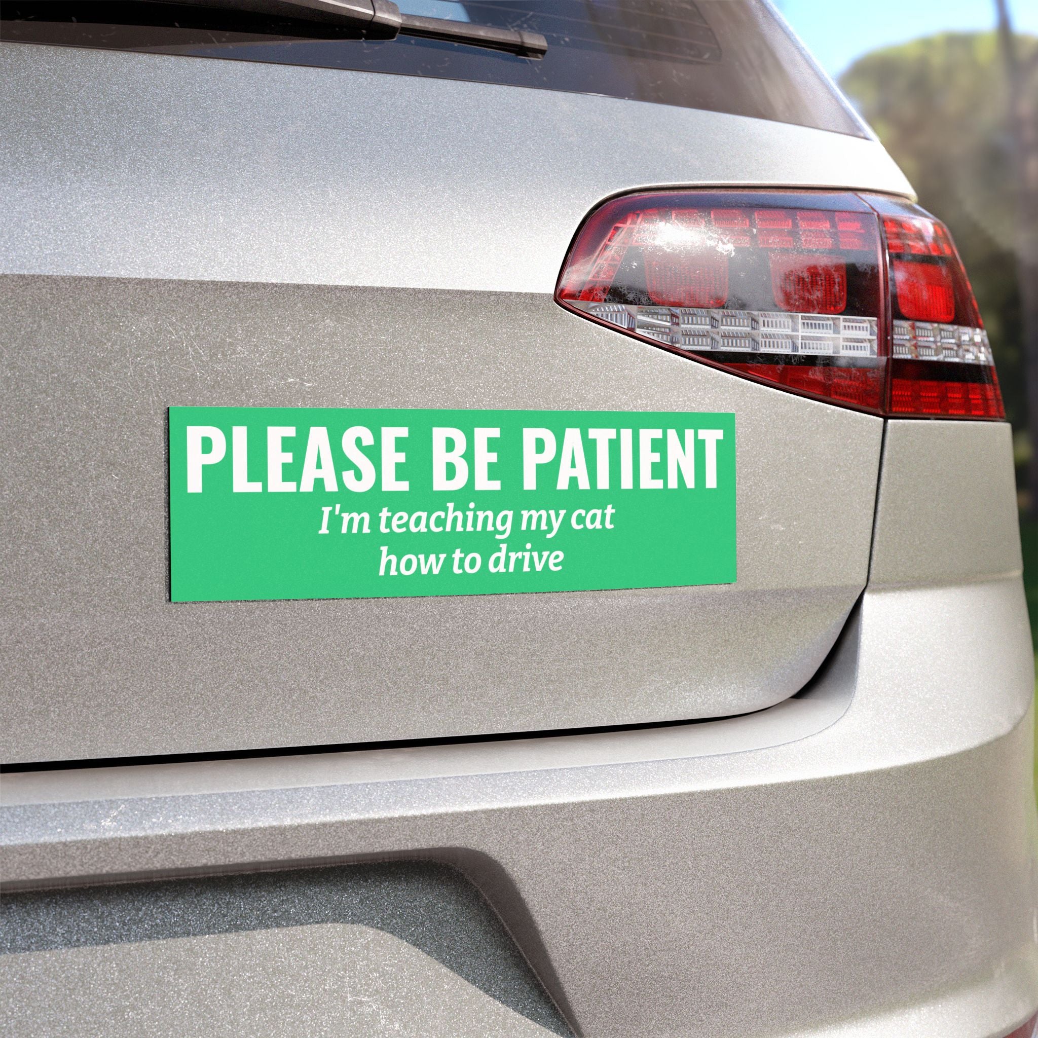 Please Be Patient, I'm Teaching My Cat How to Drive Bumper Magnet (MINT GREEN)