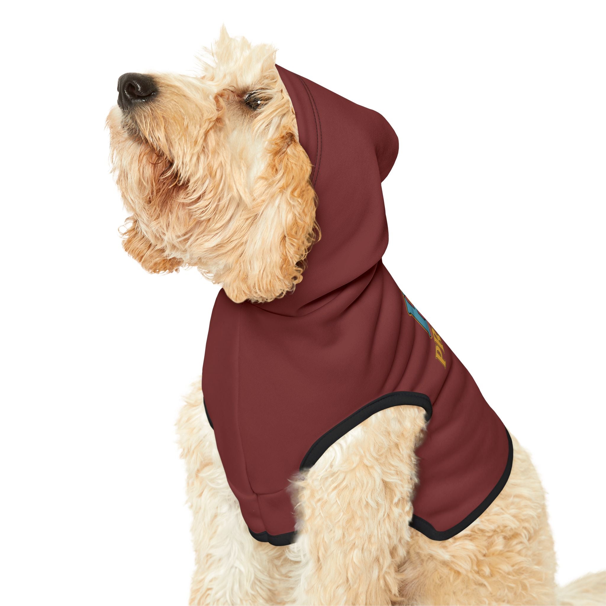 HOA President Dog Hoodie – Funny Pet Sweatshirt for Uptight Neighborhood Watch Dogs