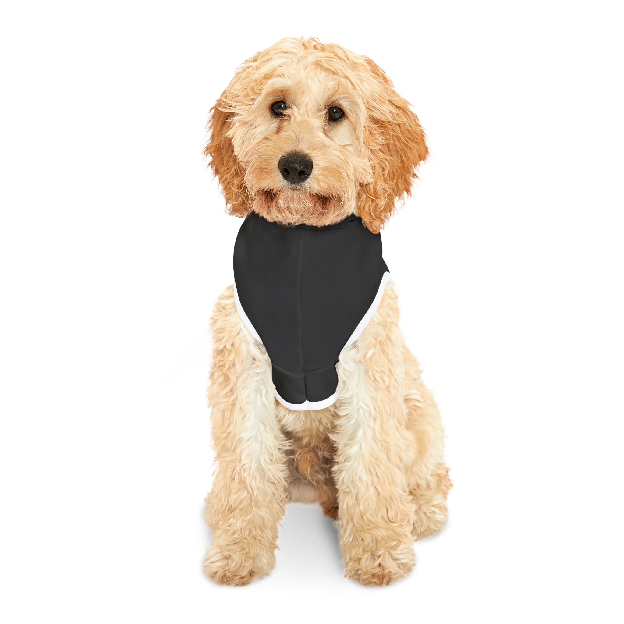 Naked on Zoom Calls Dog Hoodie – Funny Work-from-Home Pet Sweatshirt for Professional Slackers