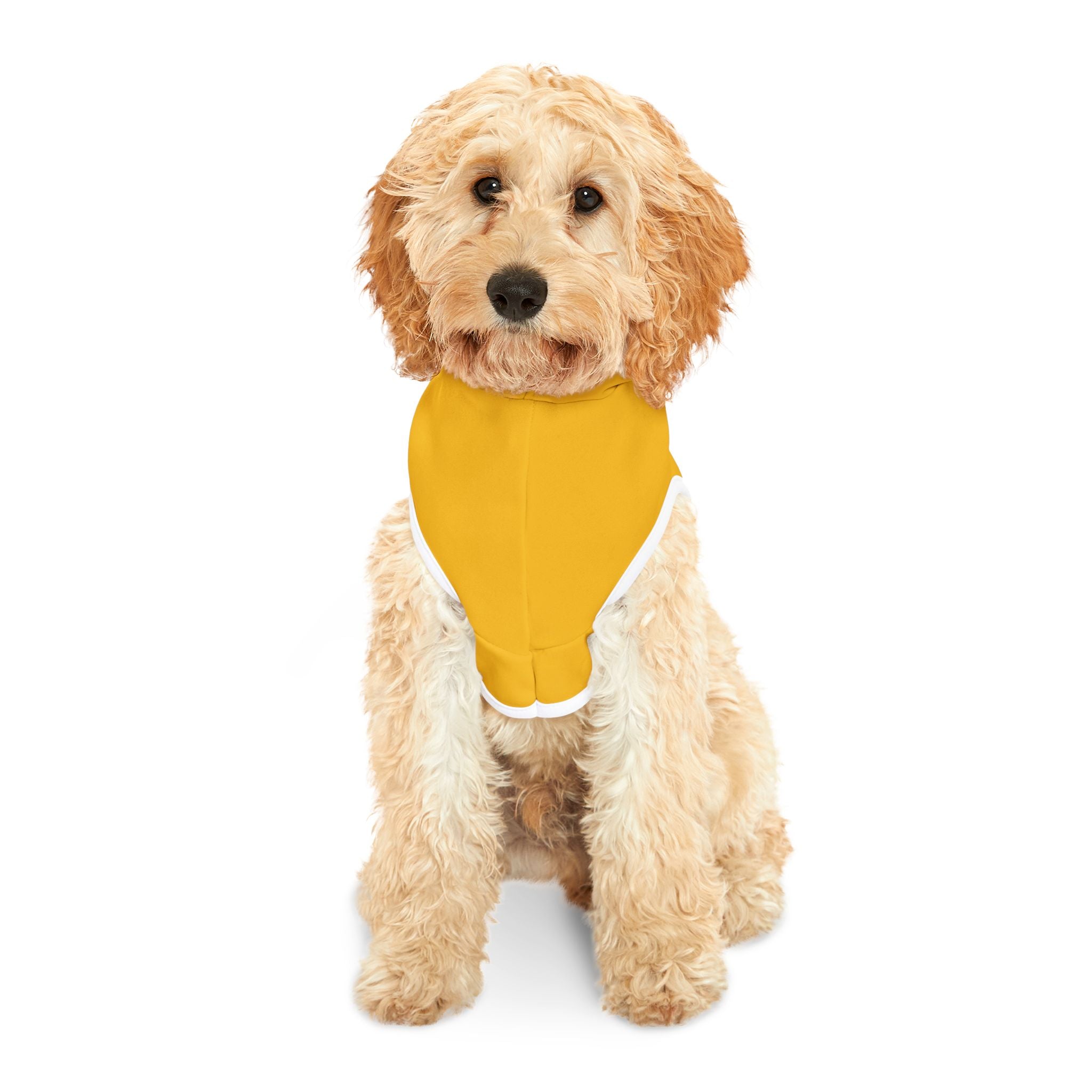 Jesse Pinkman Parody Dog Hoodie – Funny Dog Halloween Costume for Breaking Bad fans